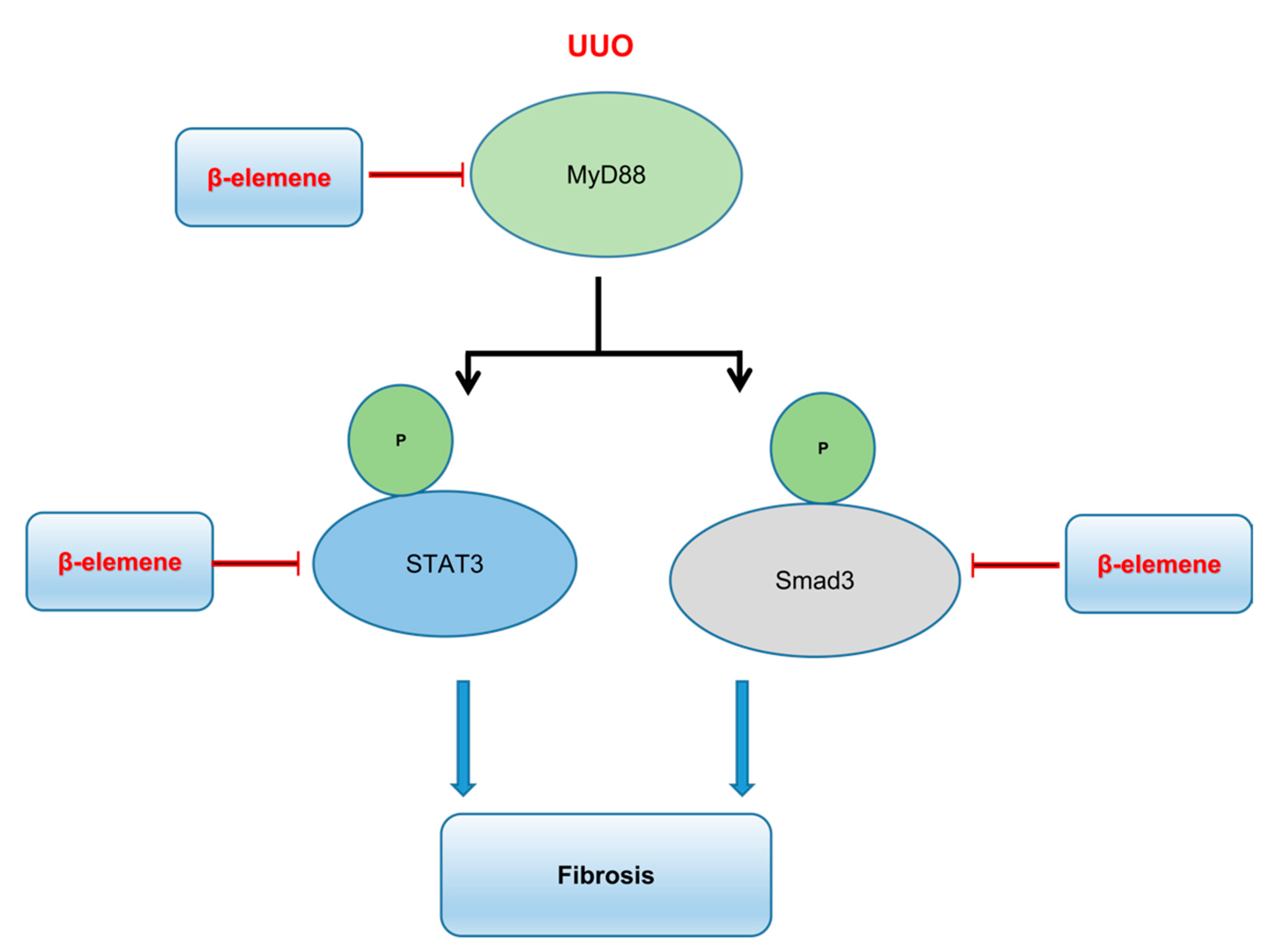 Ijms 23 05553 g009 550