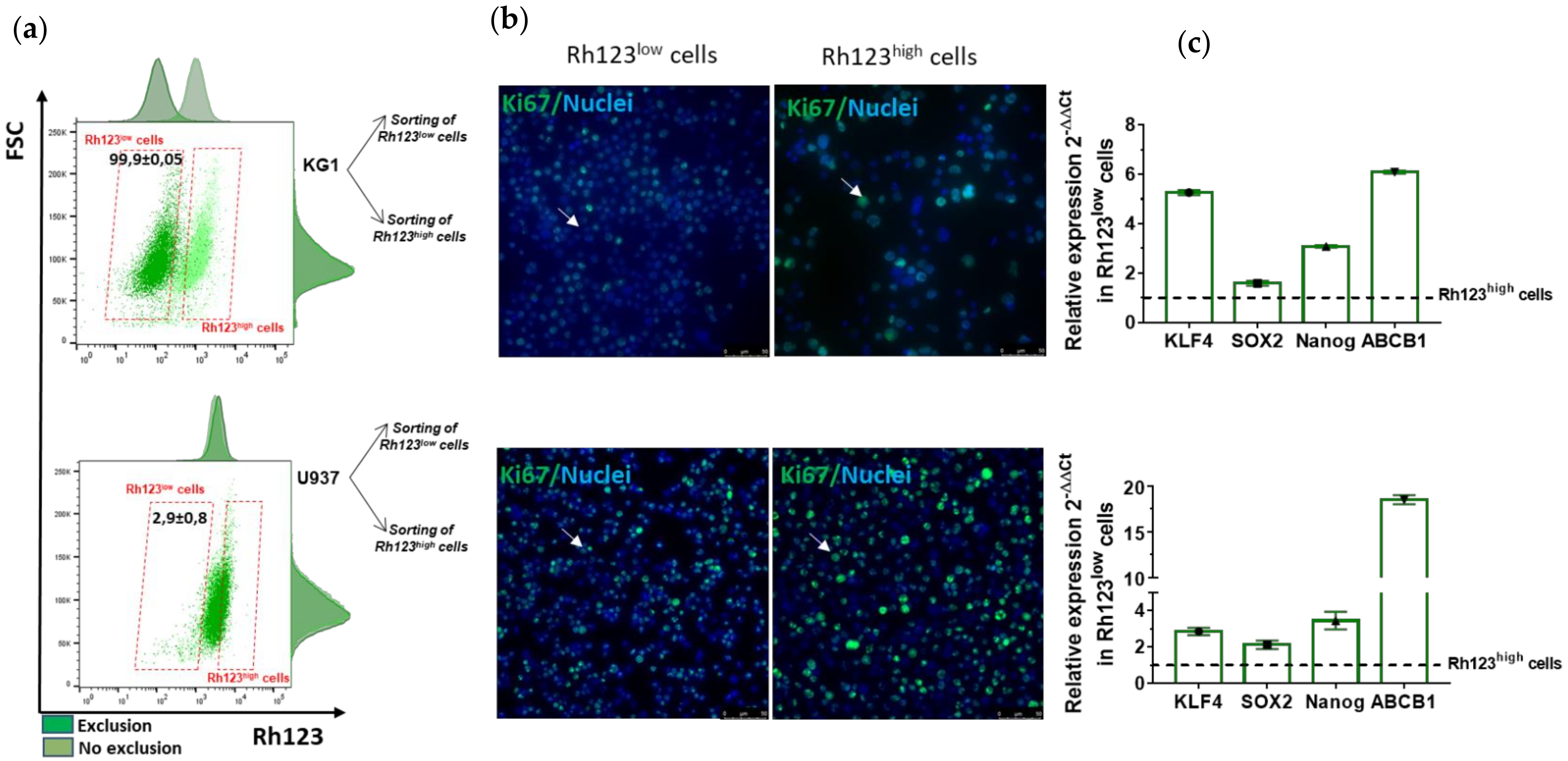 Ijms 23 05555 g004 550