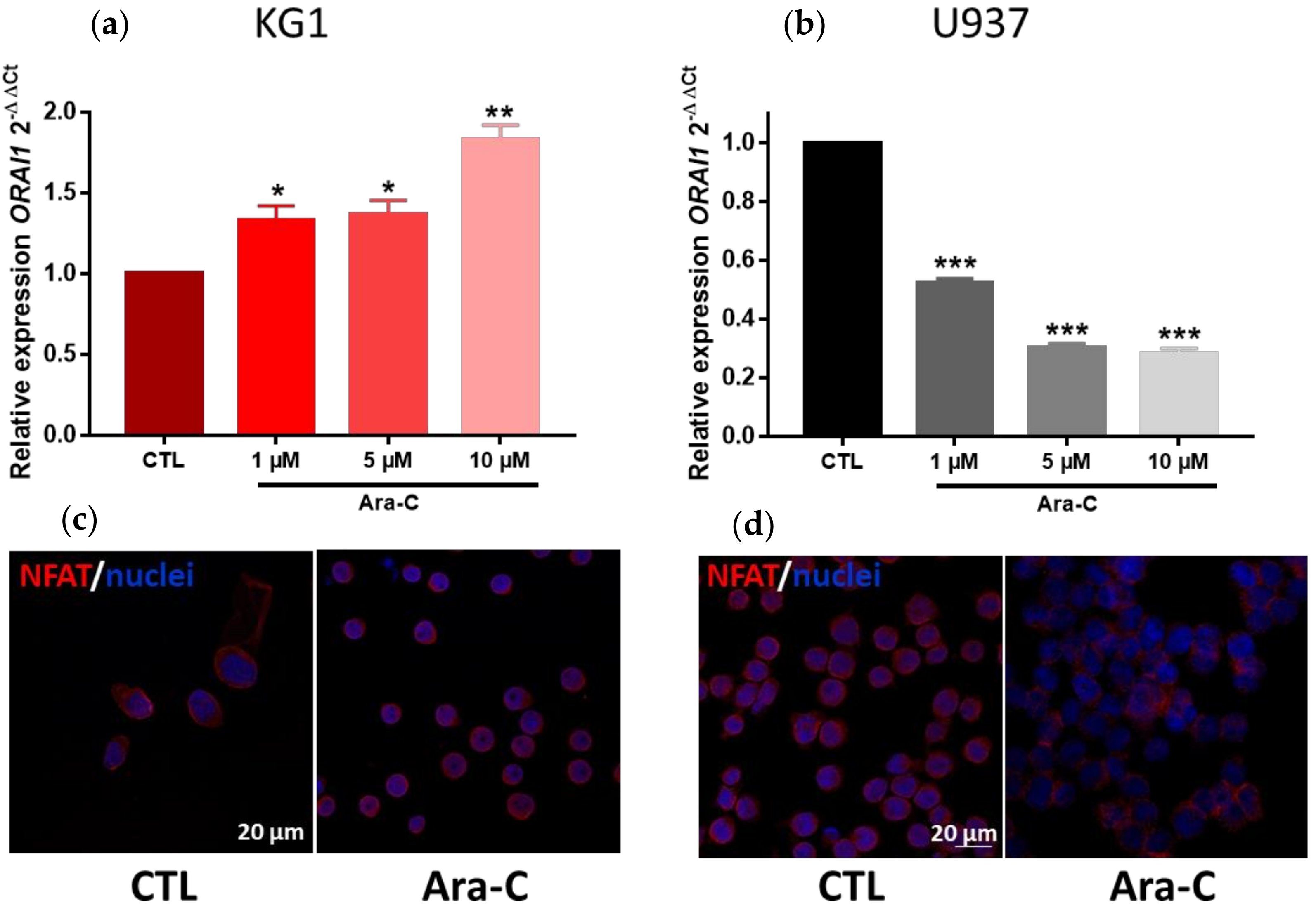 Ijms 23 05555 g009 550