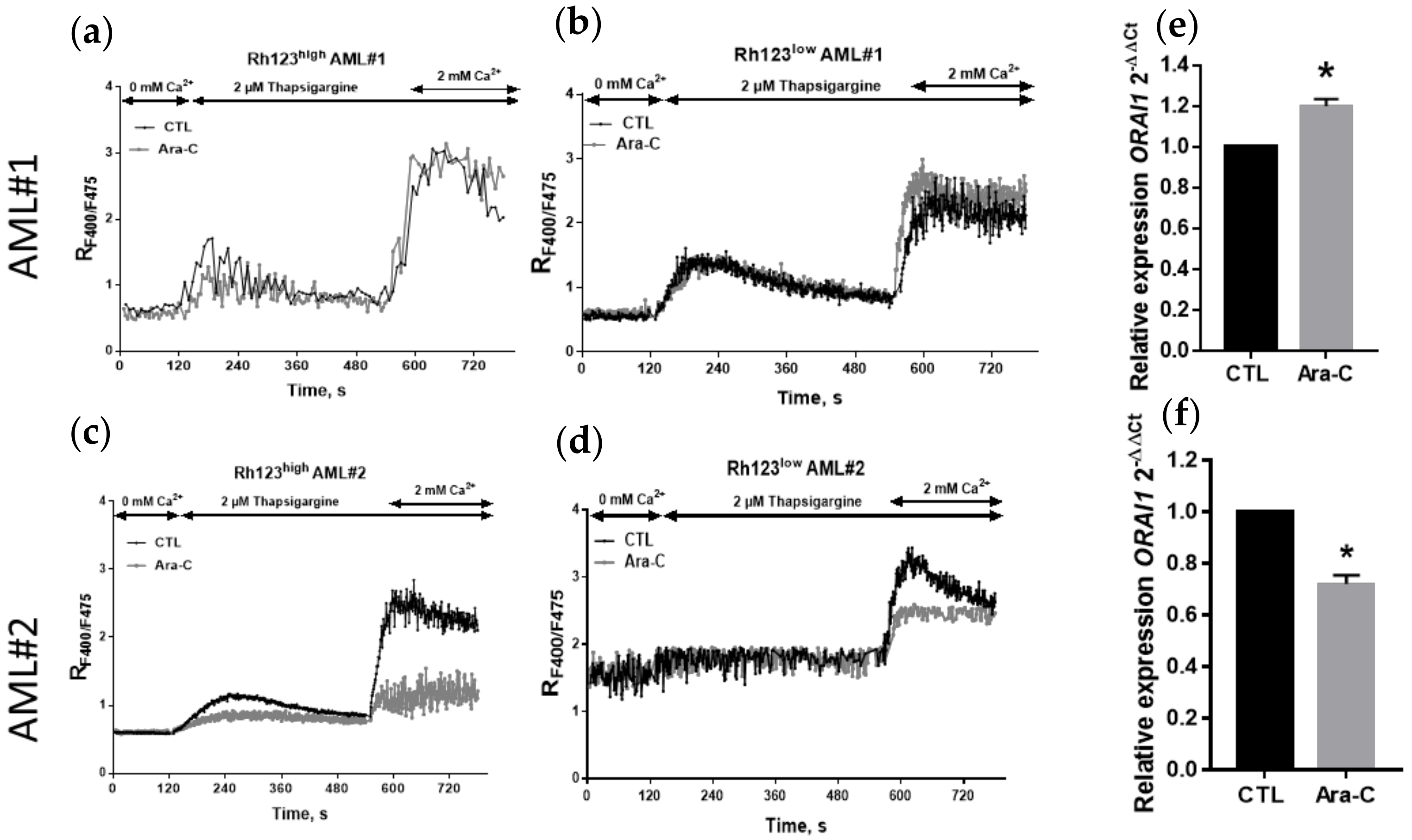 Ijms 23 05555 g010 550