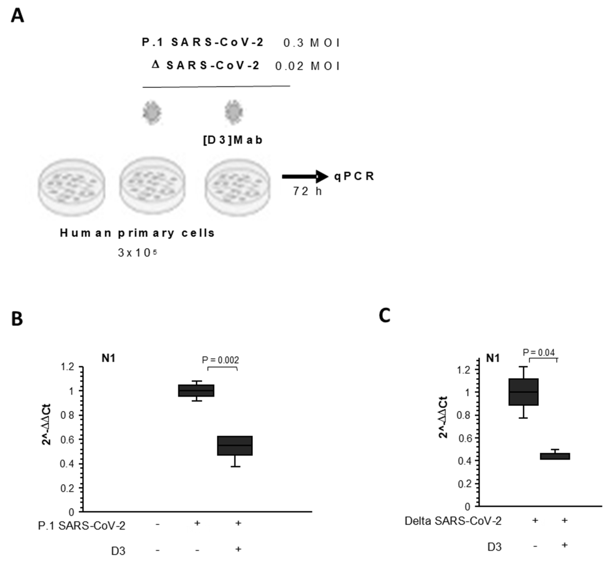 Ijms 23 05556 g008 Ijms 23 05556 g008