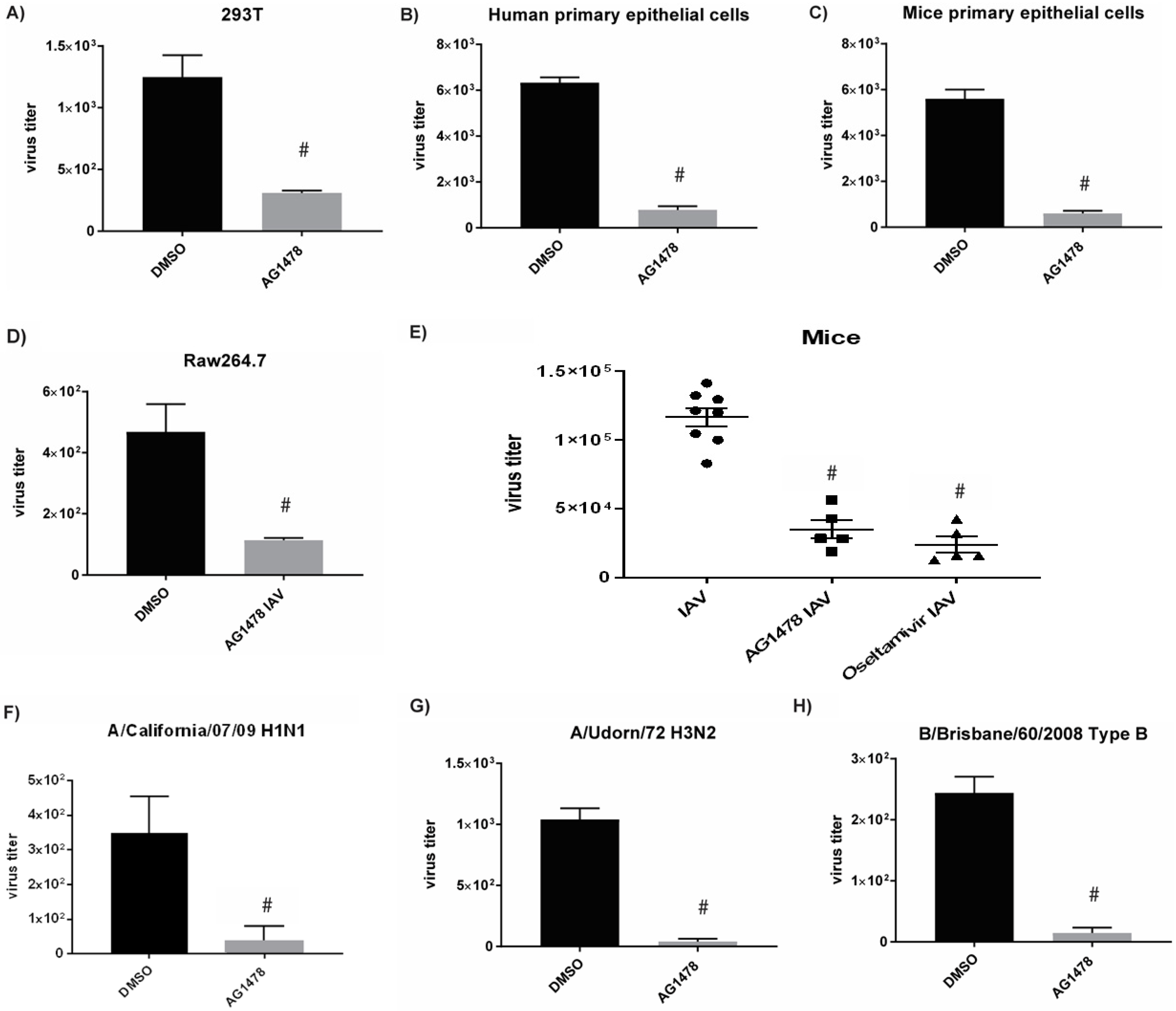 Ijms 23 05557 g002 Ijms 23 05557 g002