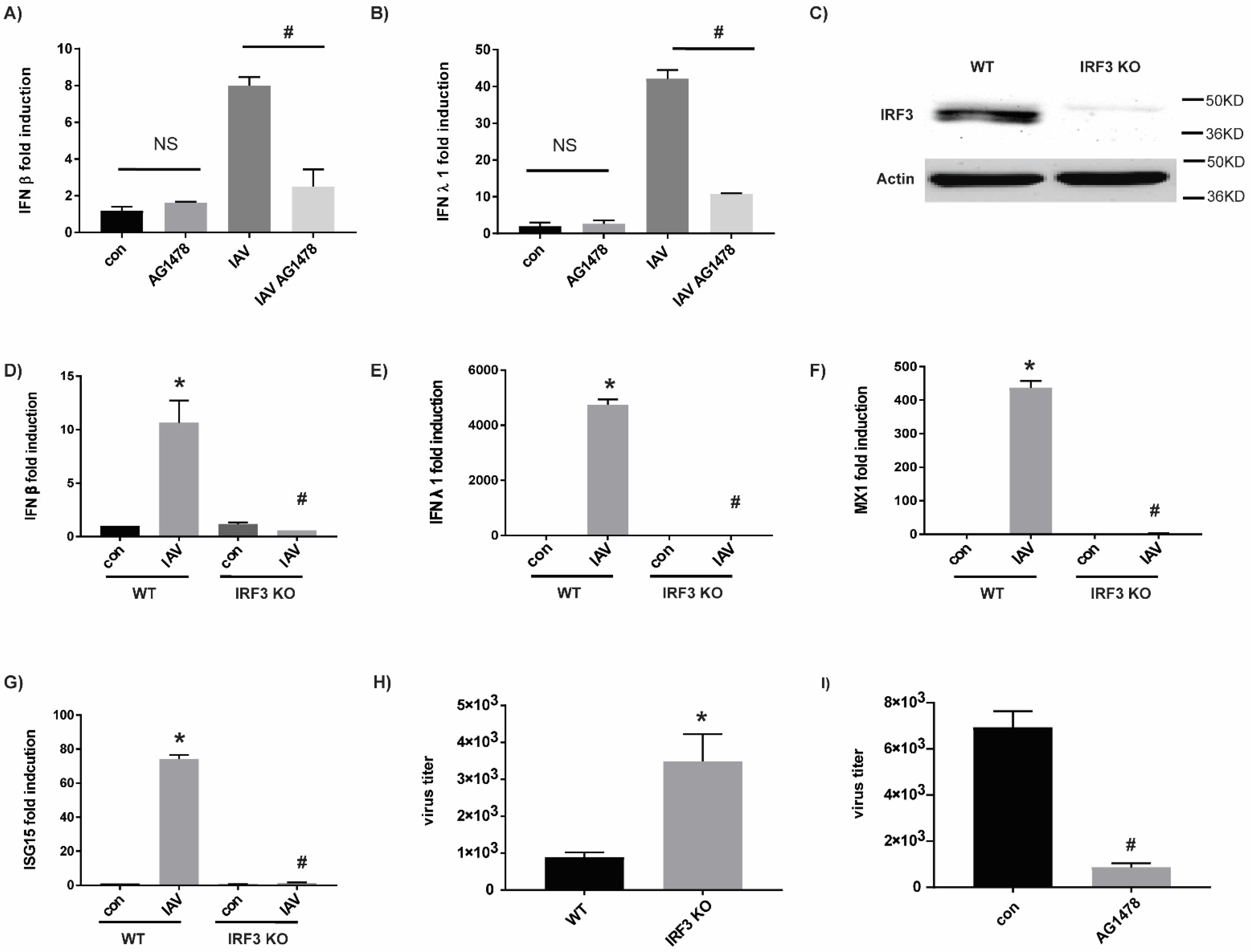 Ijms 23 05557 g003 Ijms 23 05557 g003