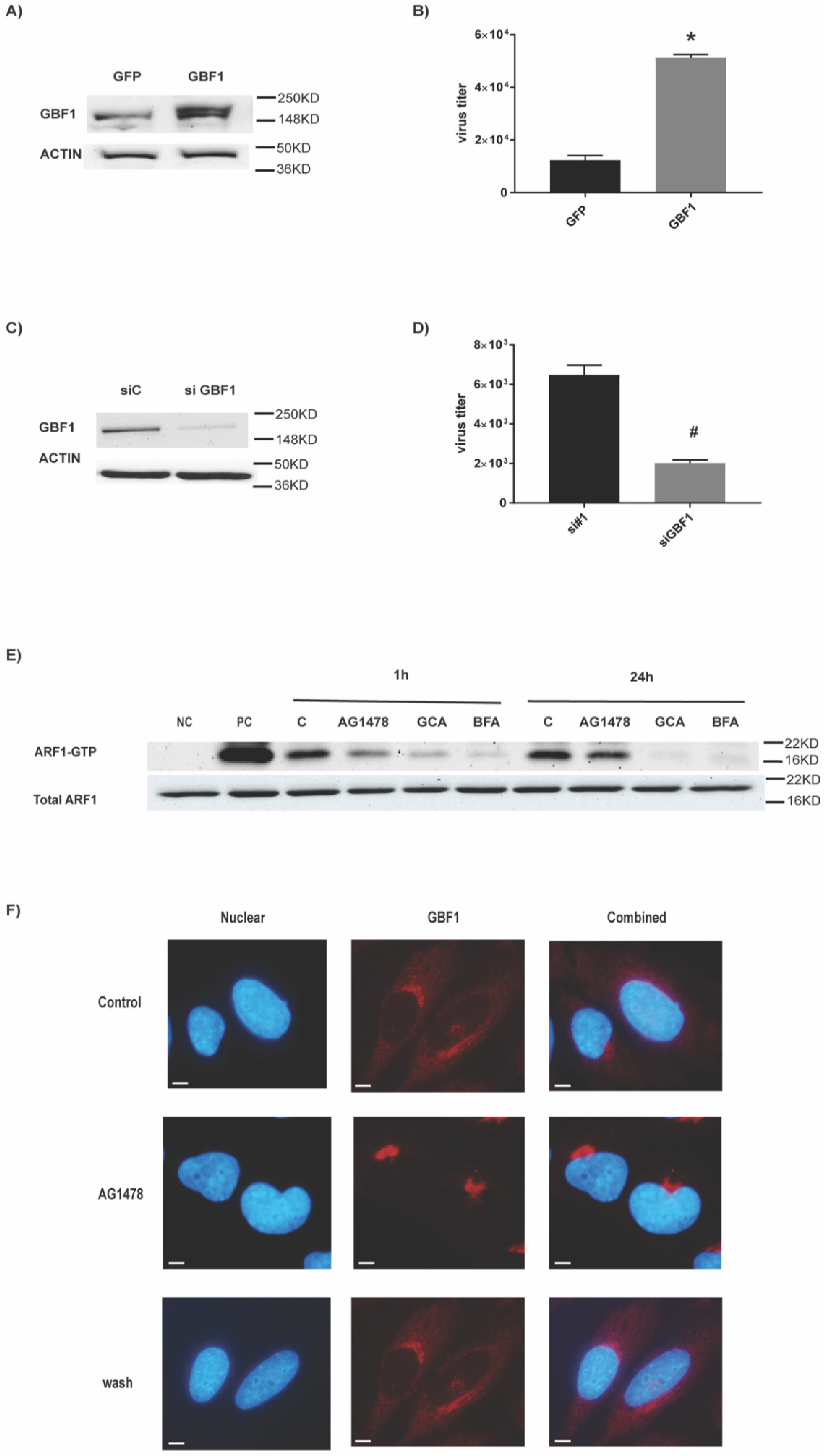 Ijms 23 05557 g004 Ijms 23 05557 g004