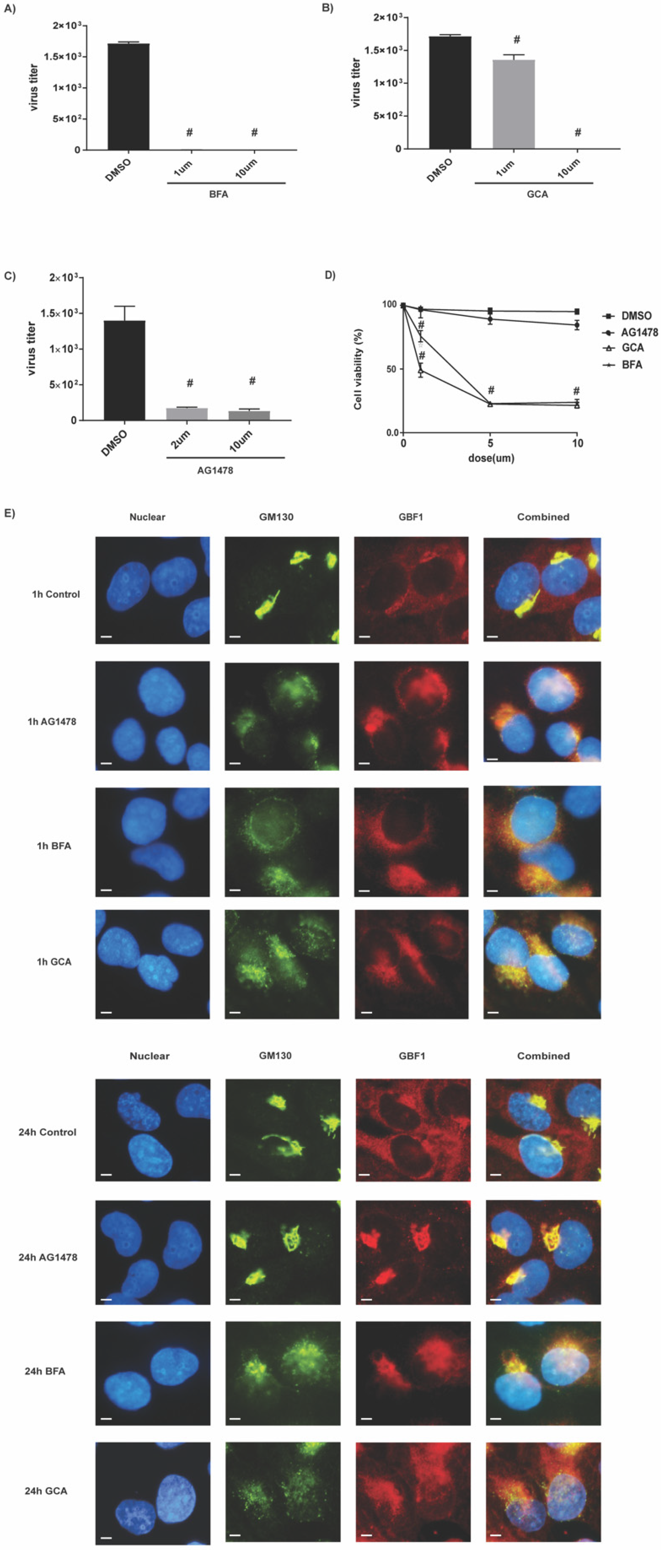 Ijms 23 05557 g005 Ijms 23 05557 g005