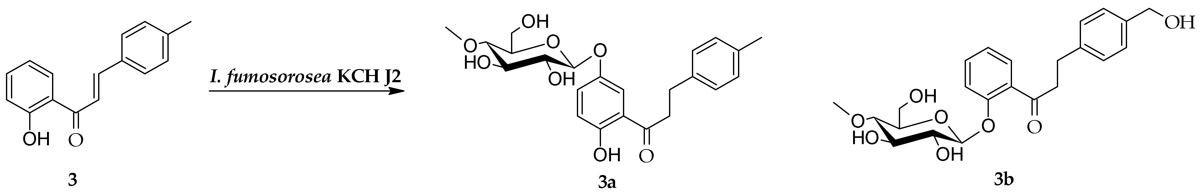 Ijms 23 05558 sch002 550