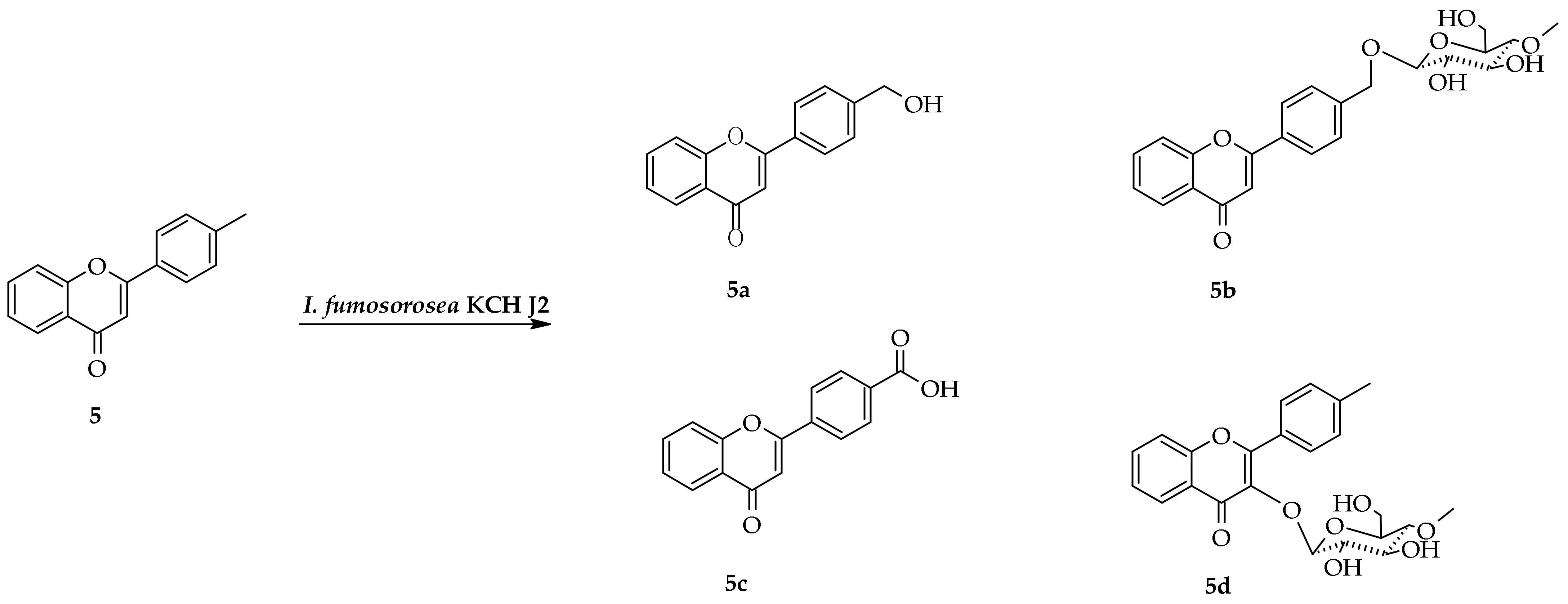 Ijms 23 05558 sch007 550