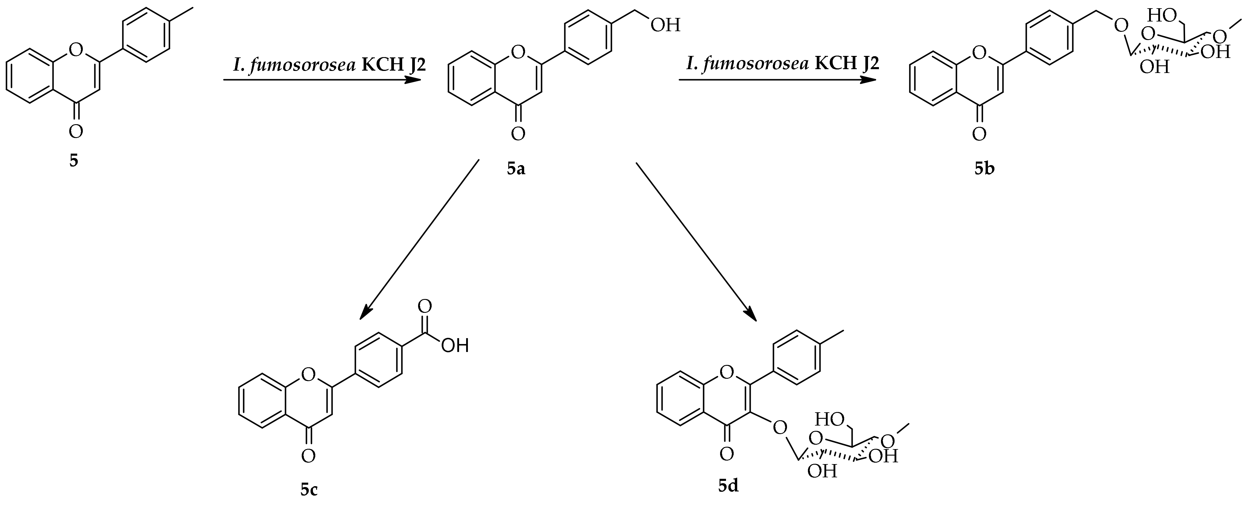 Ijms 23 05558 sch012 550