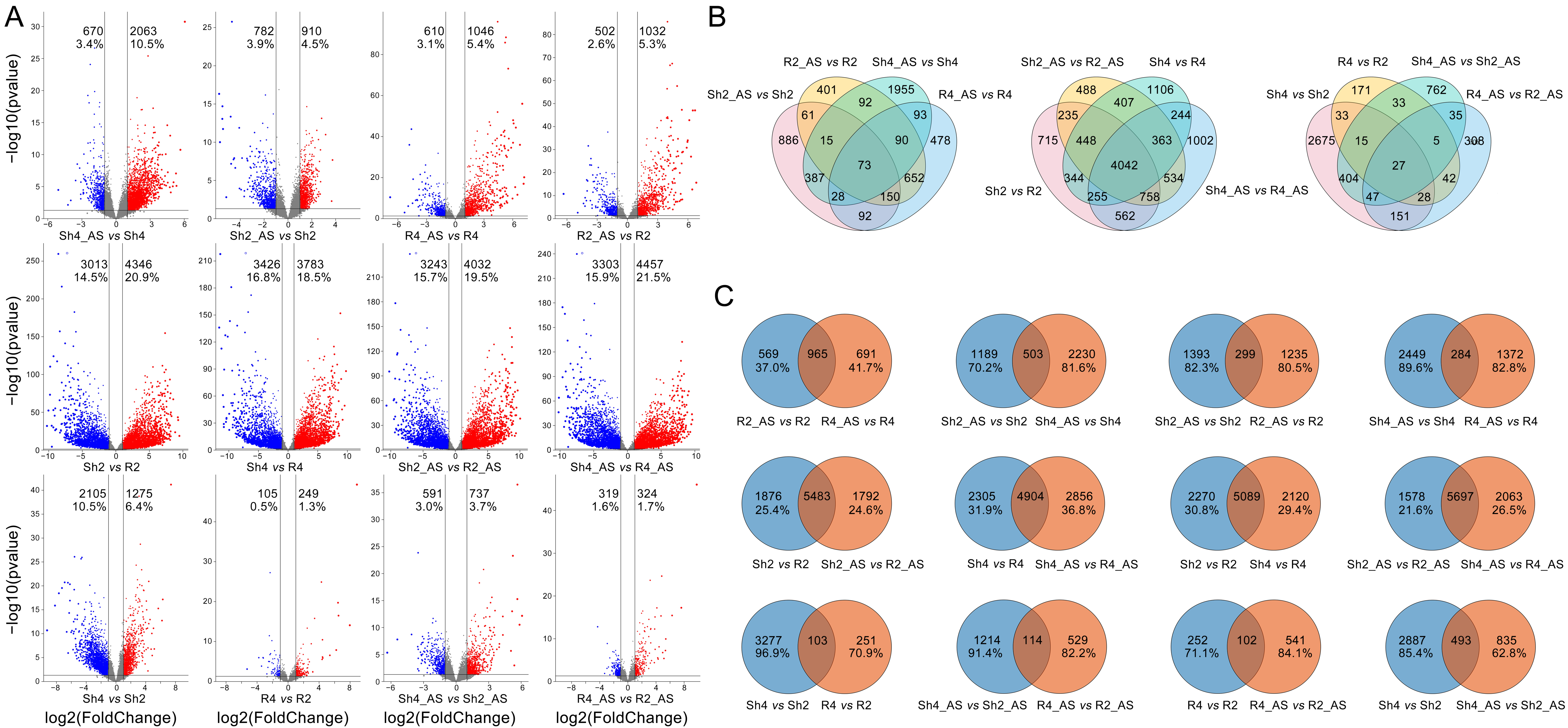 Ijms 23 05561 g005 550