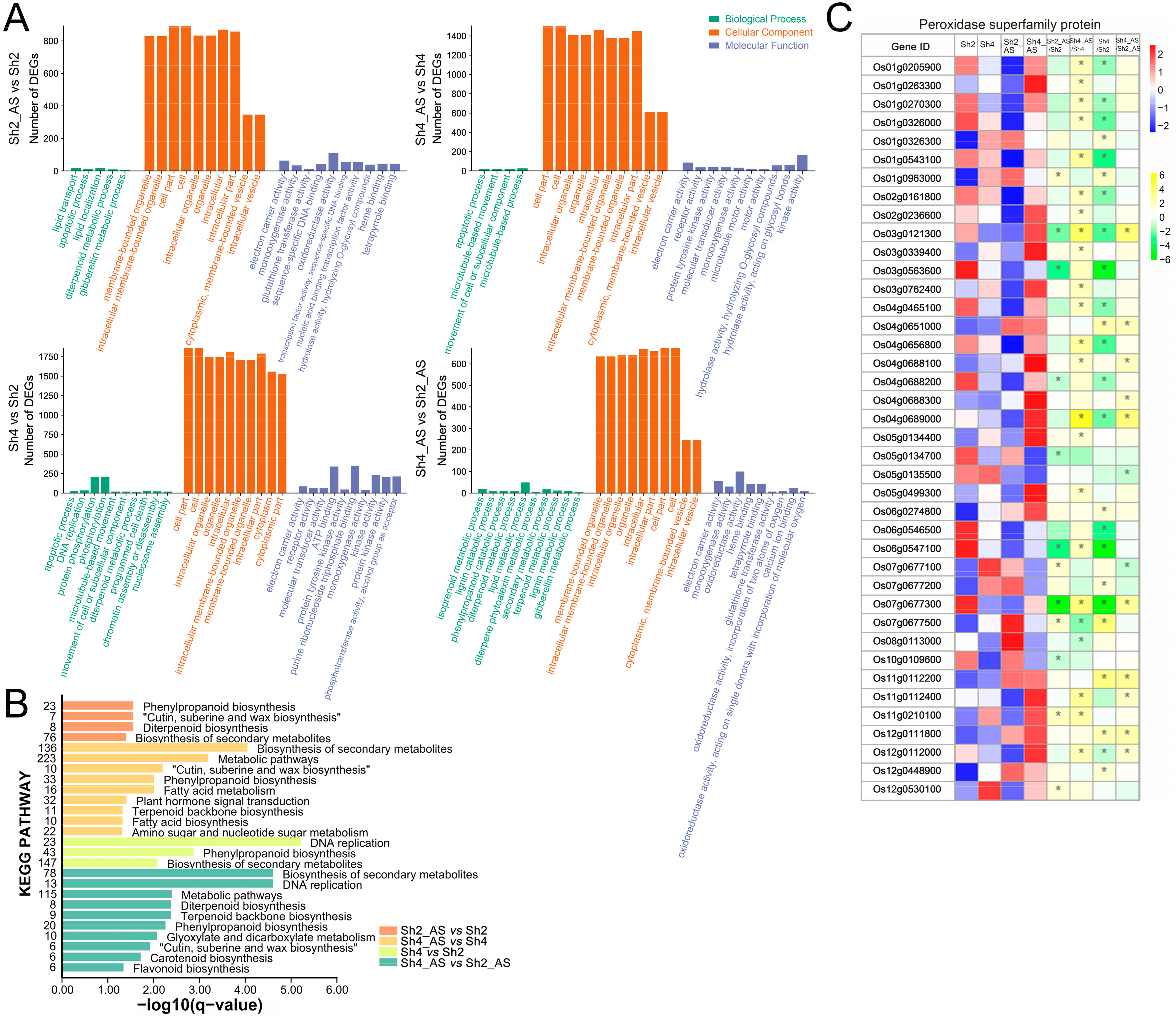 Ijms 23 05561 g006 550