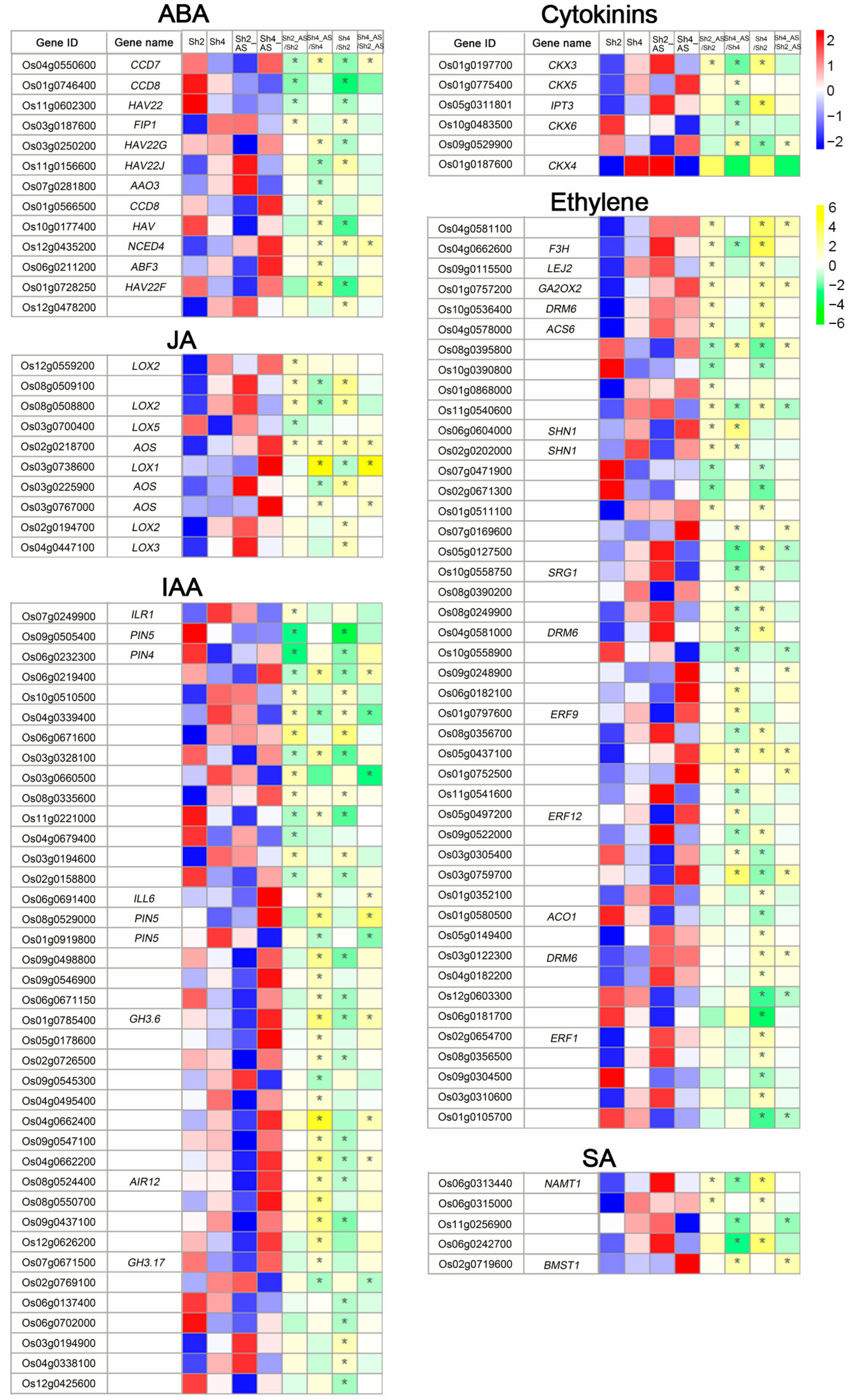 Ijms 23 05561 g007 550