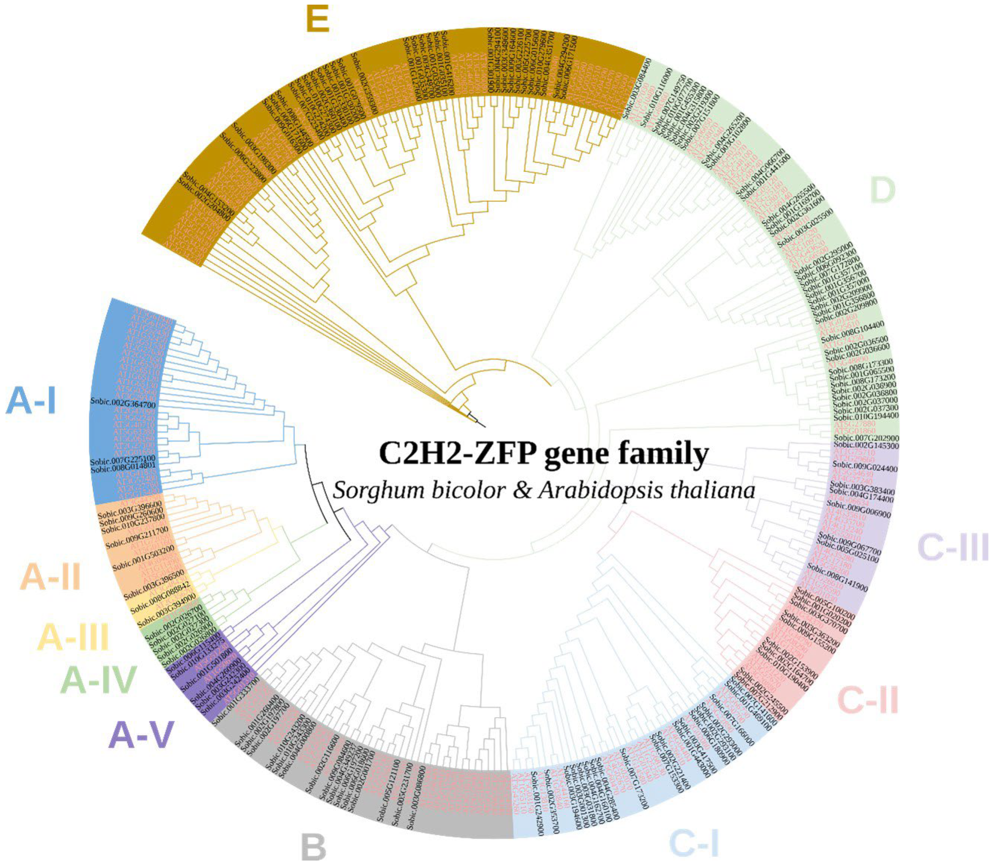 Ijms 23 05571 g001 Ijms 23 05571 g001