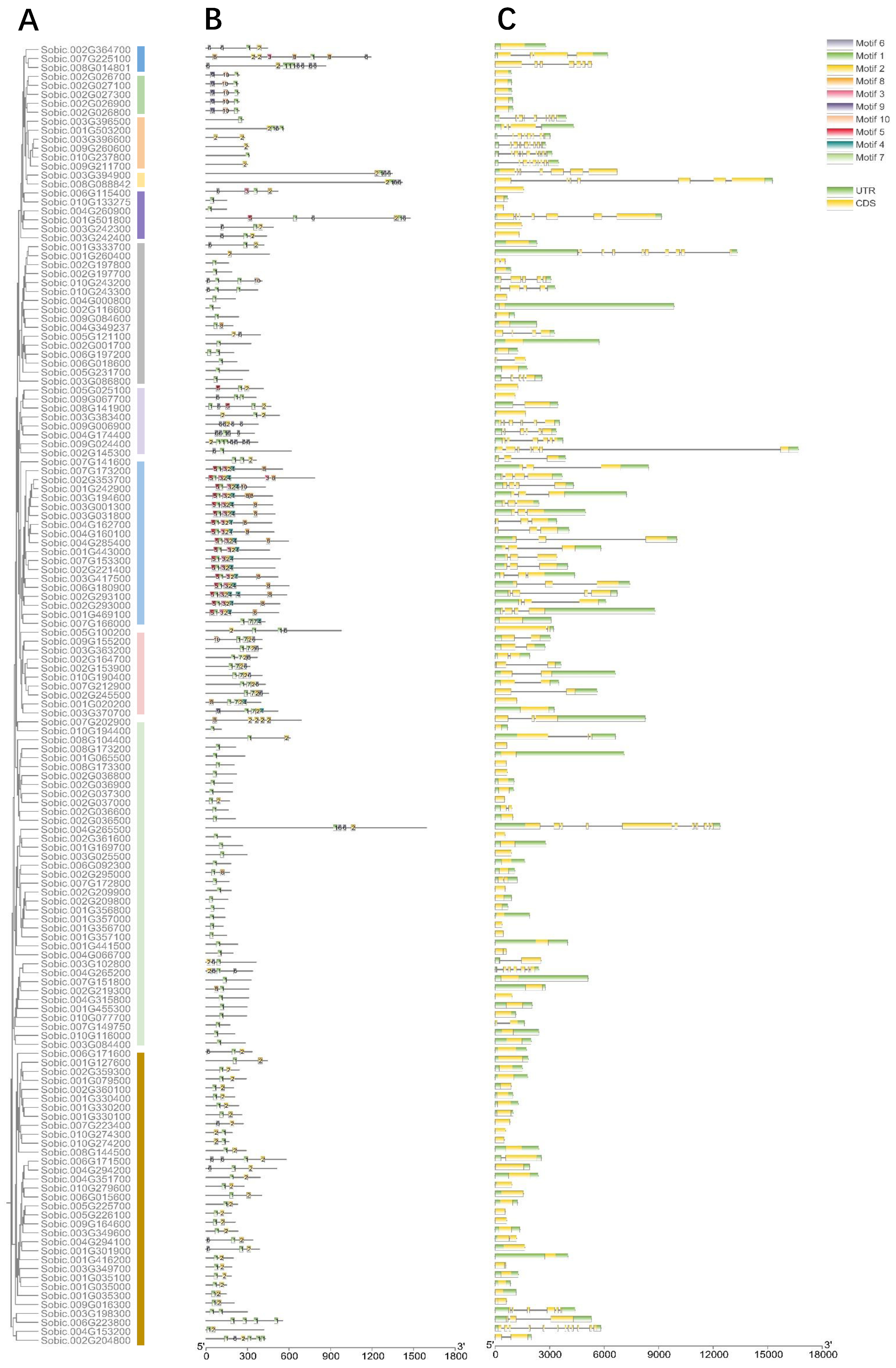 Ijms 23 05571 g002 Ijms 23 05571 g002