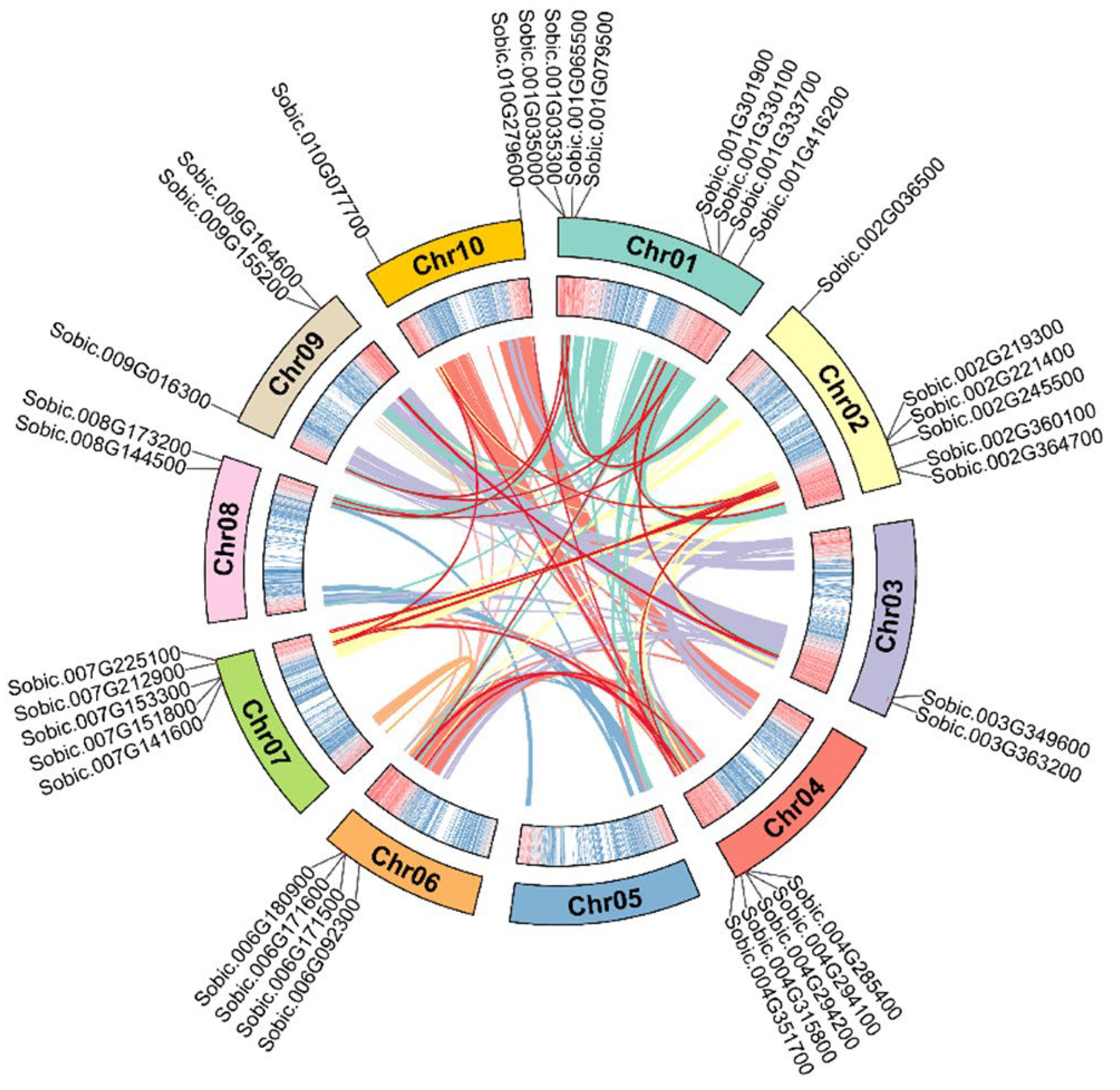 Ijms 23 05571 g004 Ijms 23 05571 g004