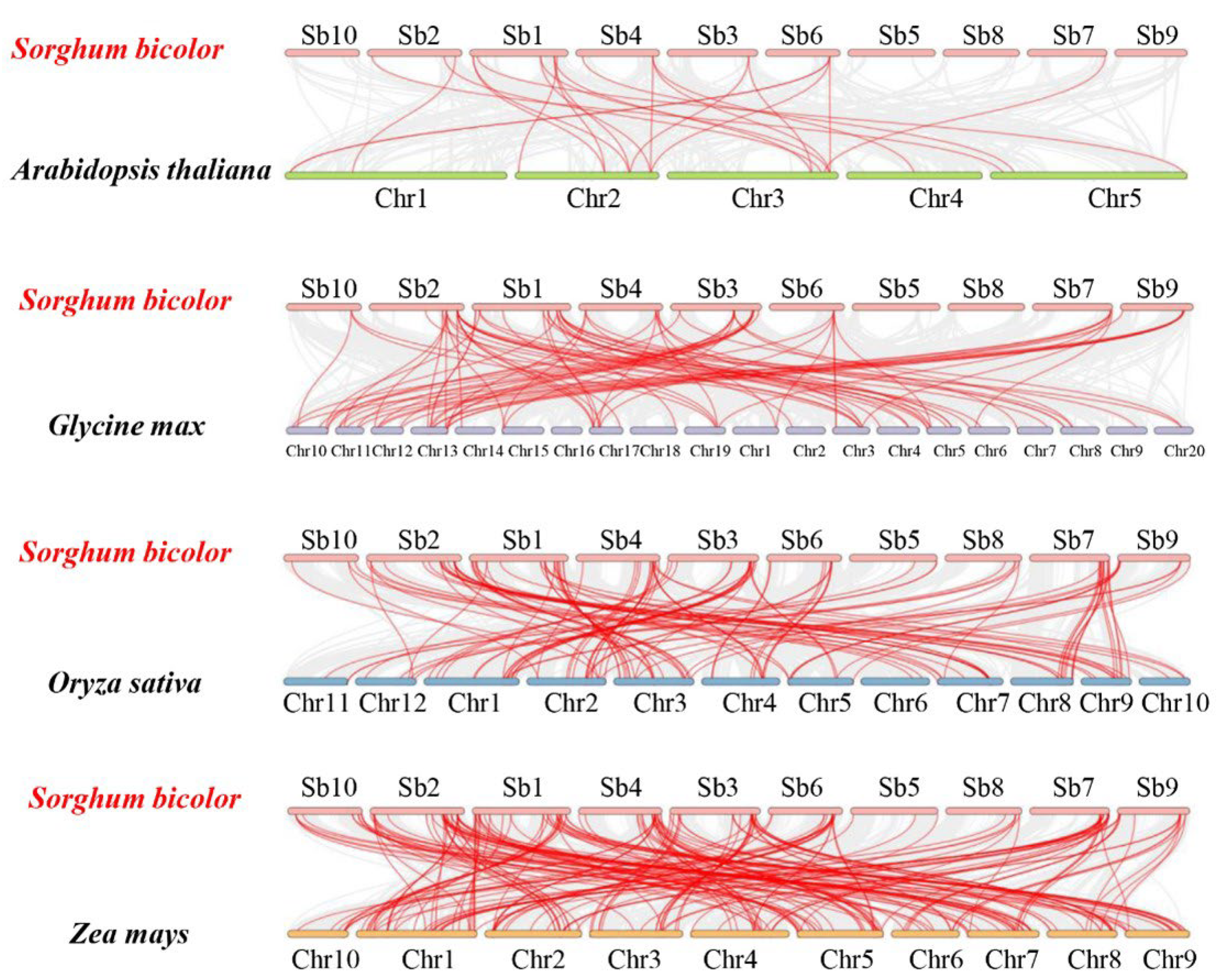 Ijms 23 05571 g005 Ijms 23 05571 g005