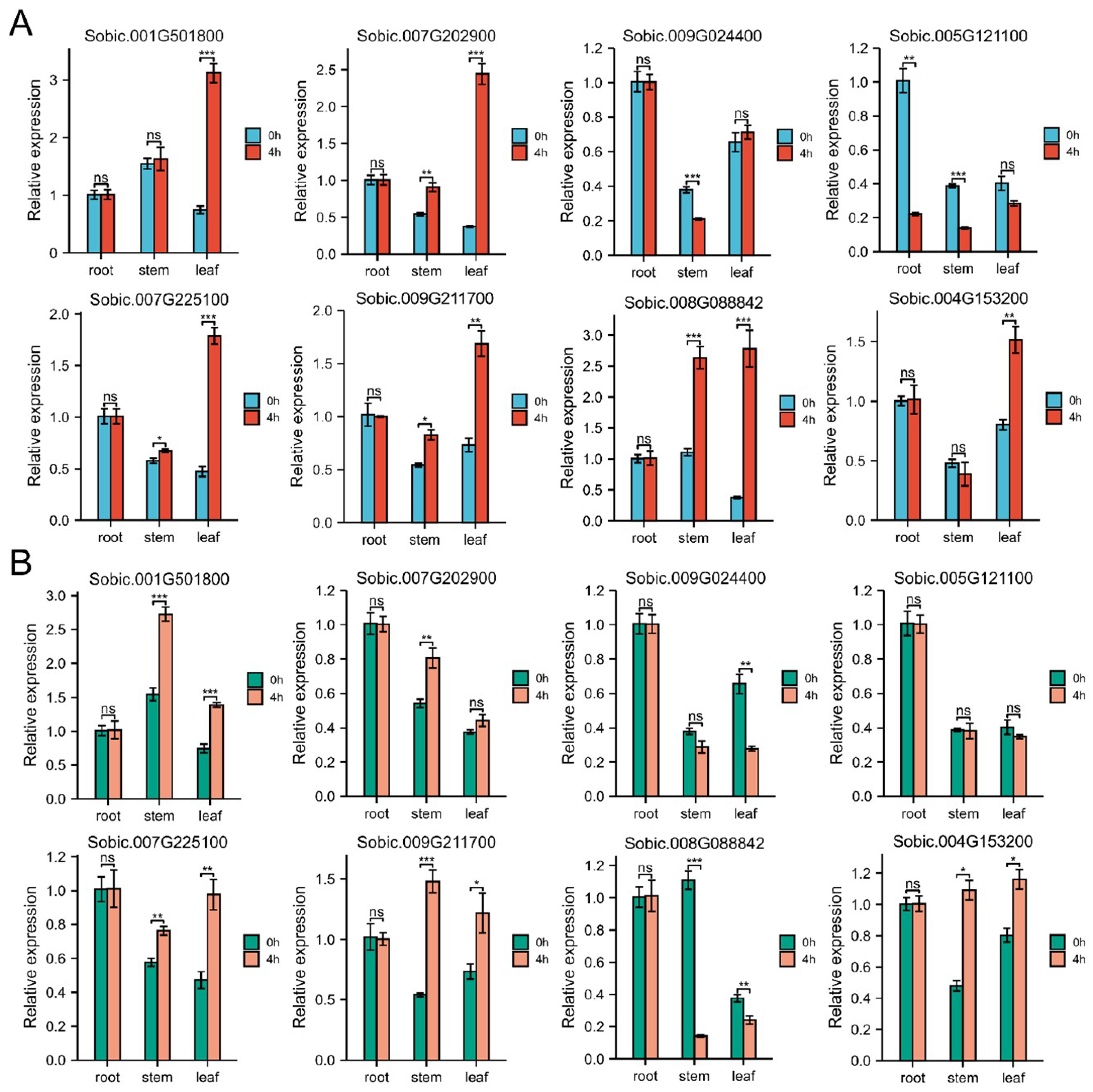 Ijms 23 05571 g007 Ijms 23 05571 g007