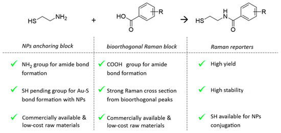 Design and Synthesis of Novel Raman Reporters for