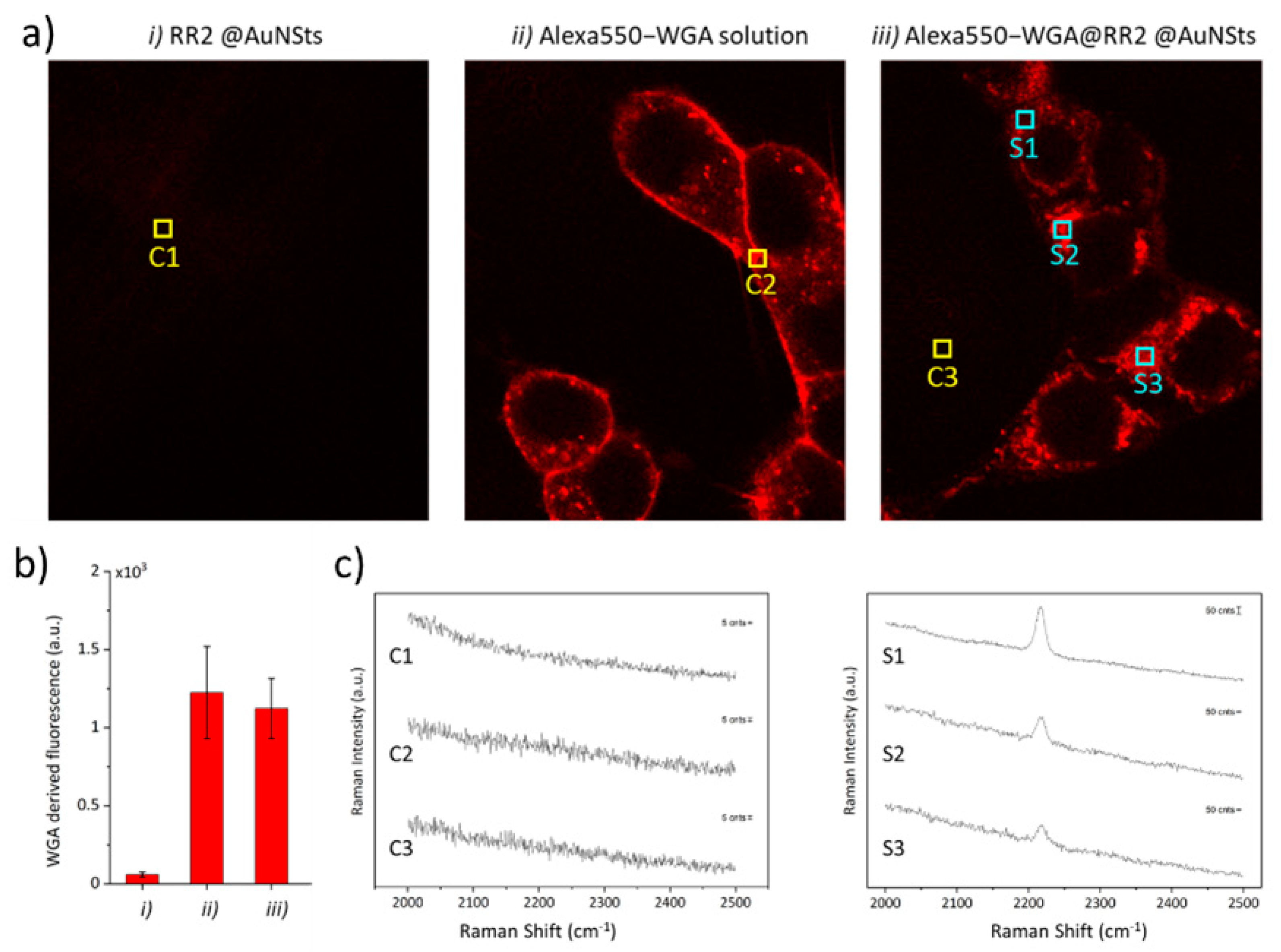 Design and Synthesis of Novel Raman Reporters for