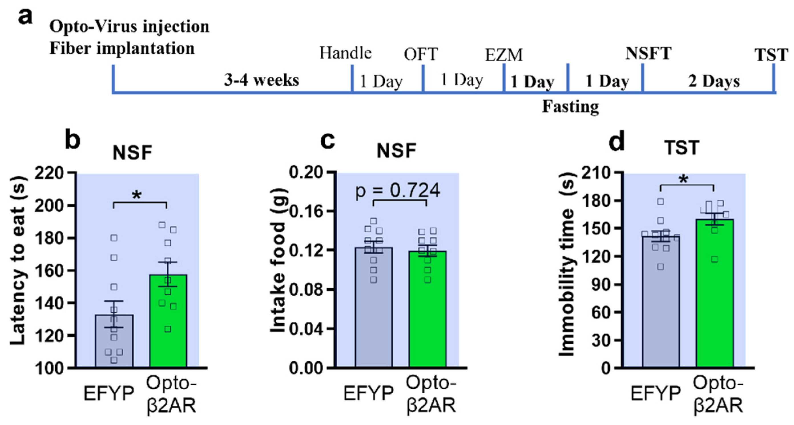 Ijms 23 05578 g002 550