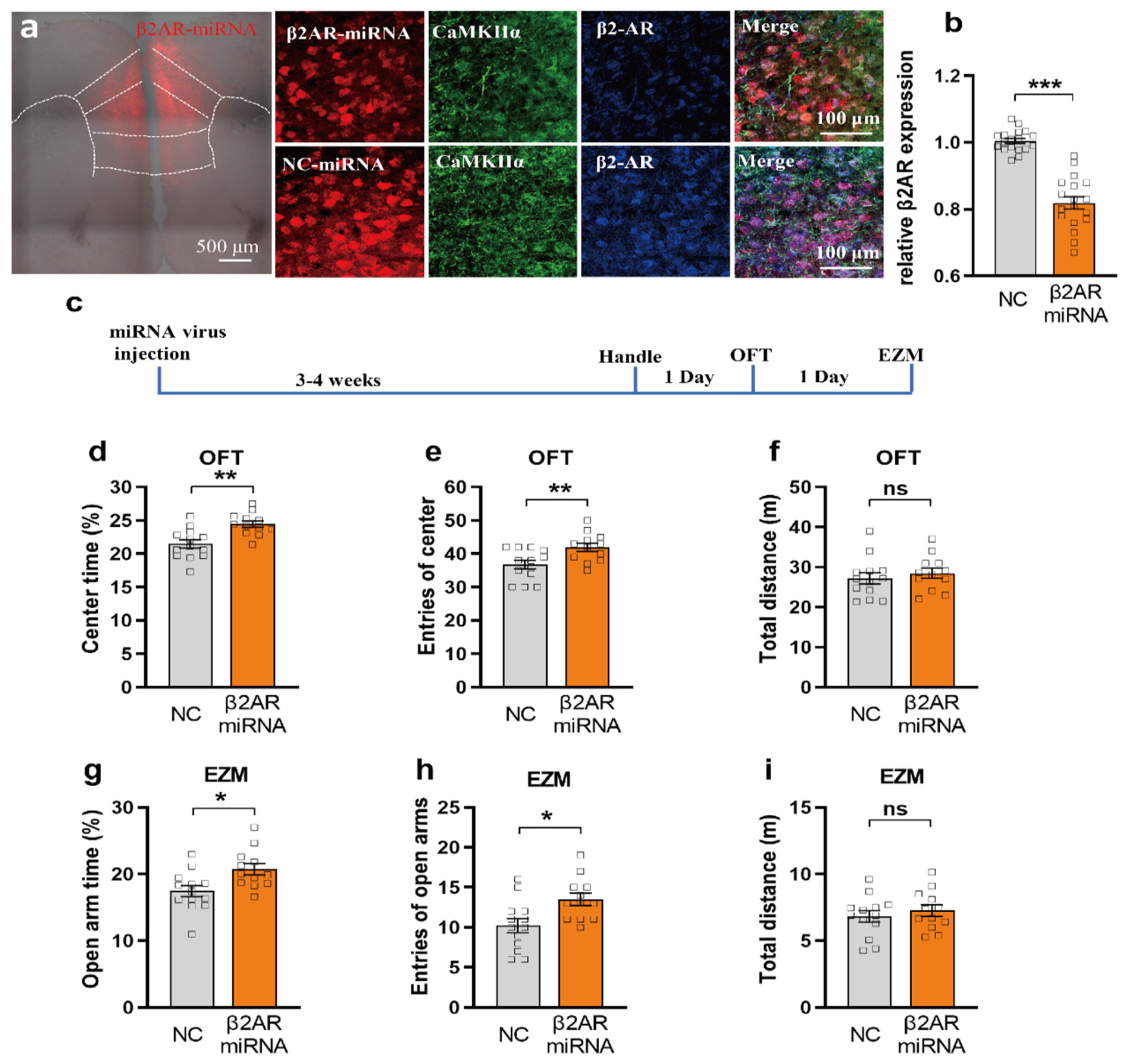 Ijms 23 05578 g004 550