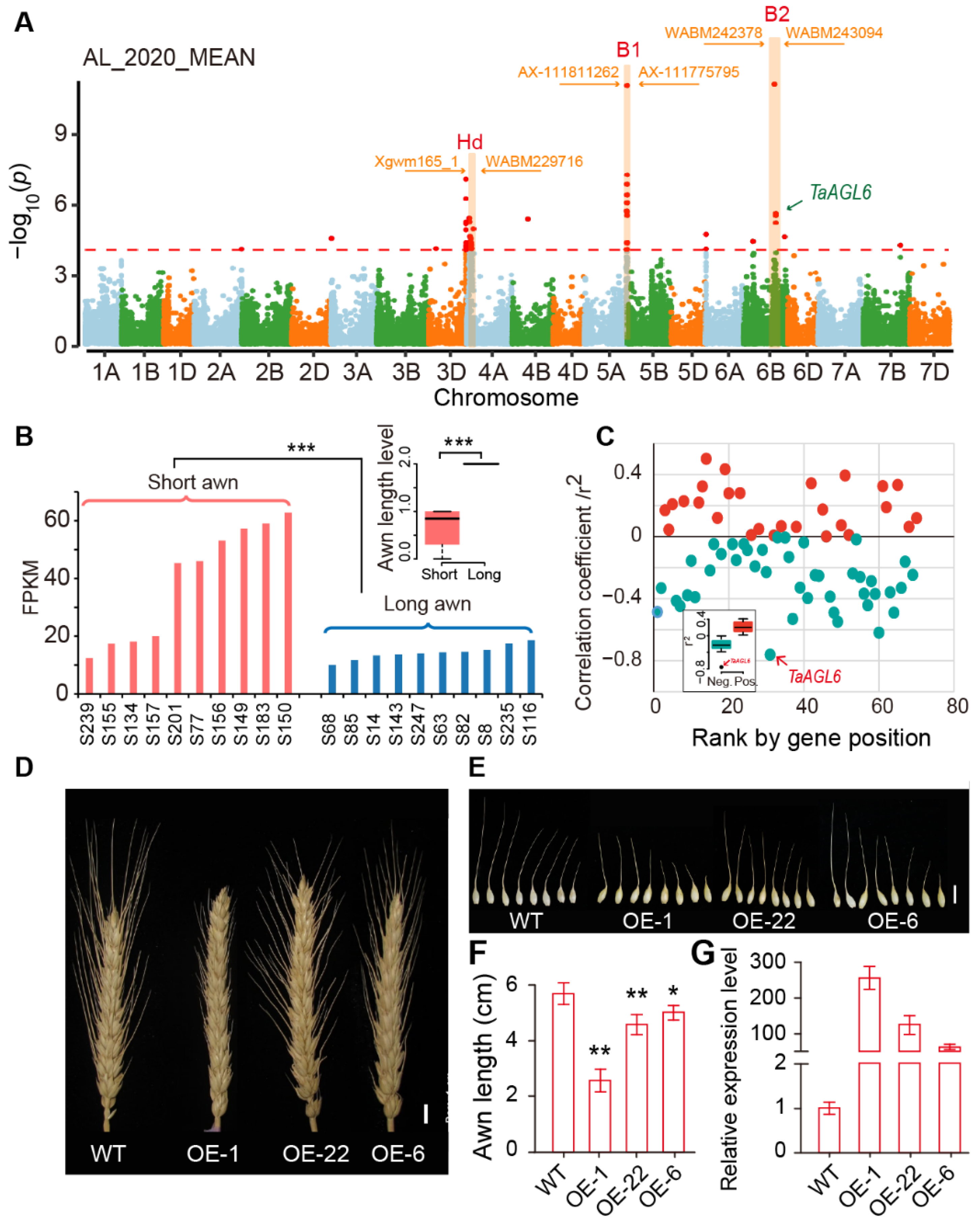 Ijms 23 05587 g005 550