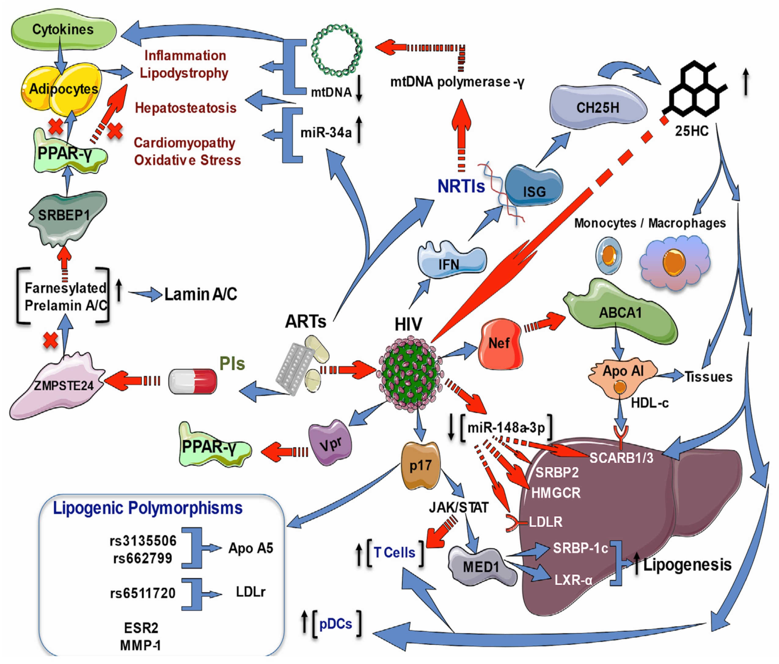 Ijms 23 05592 g002 Ijms 23 05592 g002