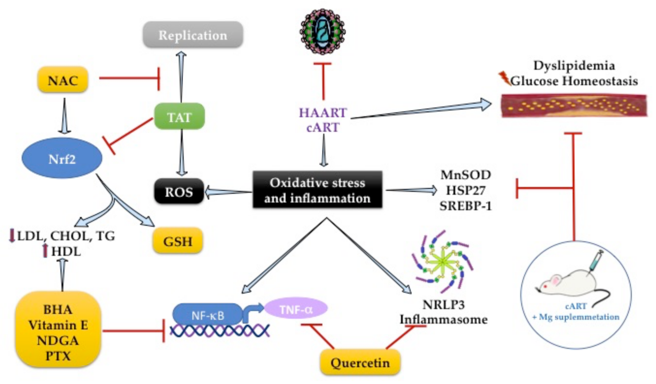 Ijms 23 05592 g003 Ijms 23 05592 g003