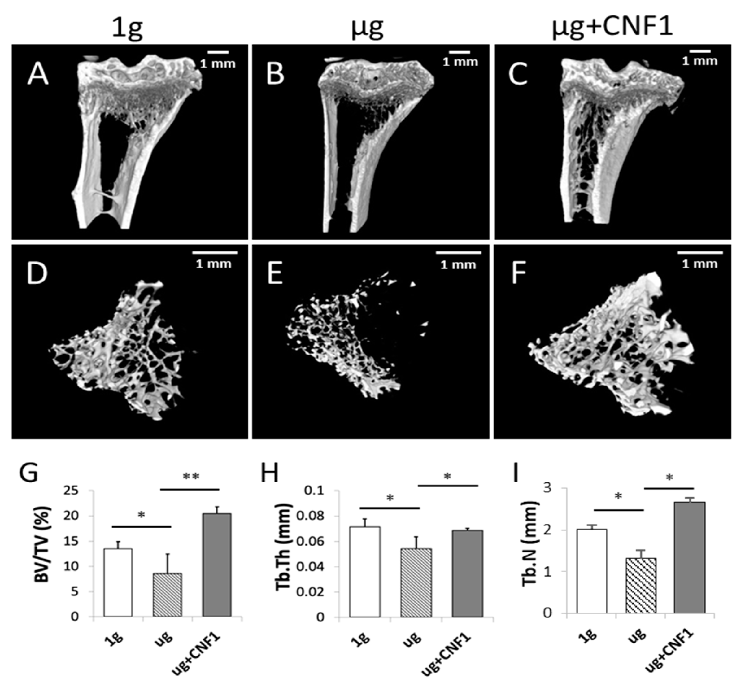Ijms 23 05593 g004 550
