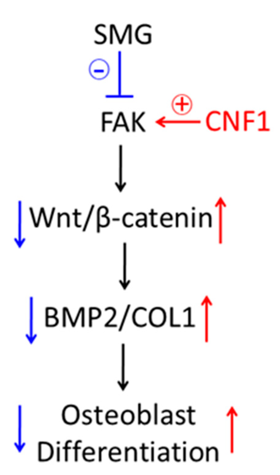 Ijms 23 05593 g006 550