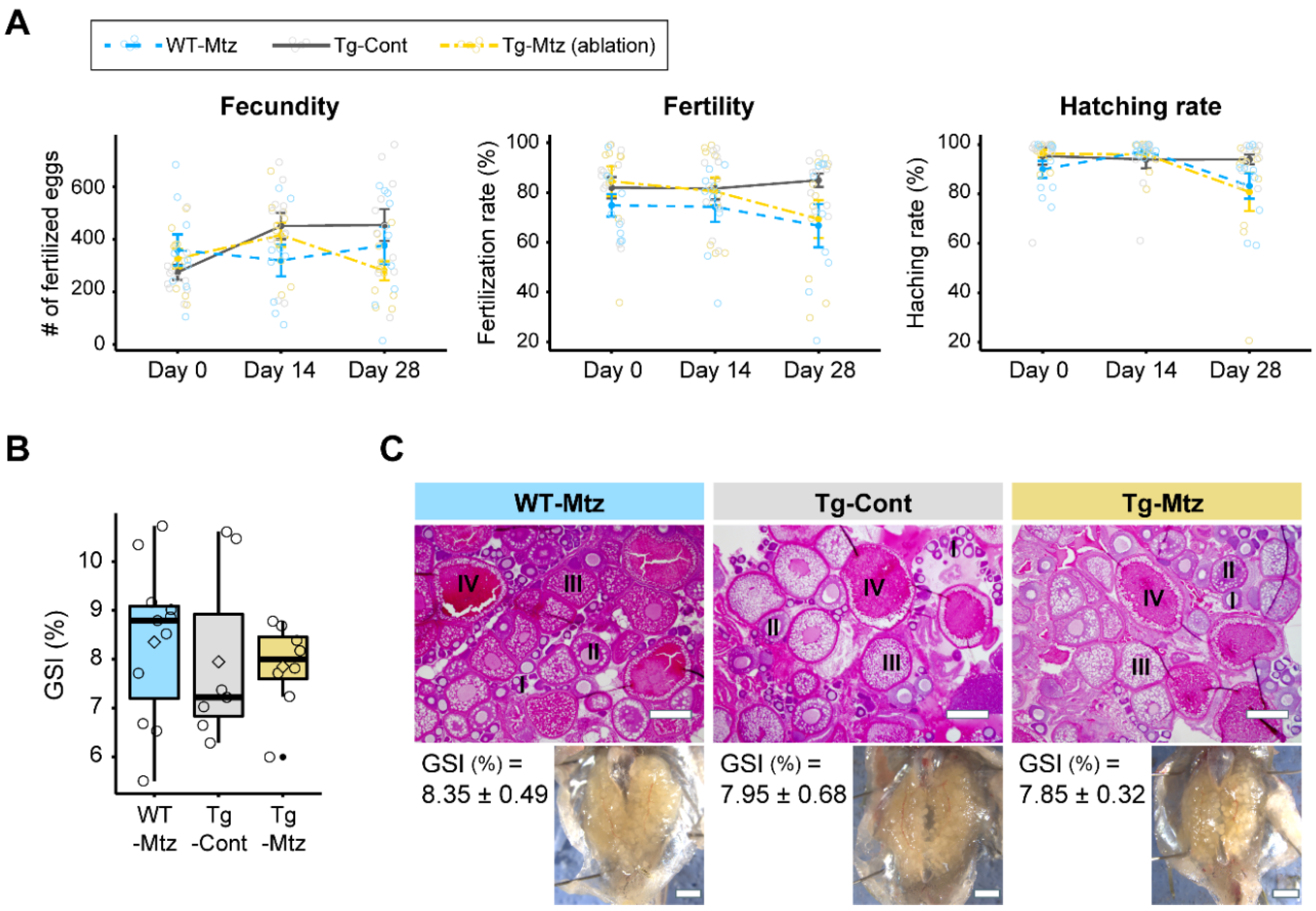 Ijms 23 05596 g003 Ijms 23 05596 g003