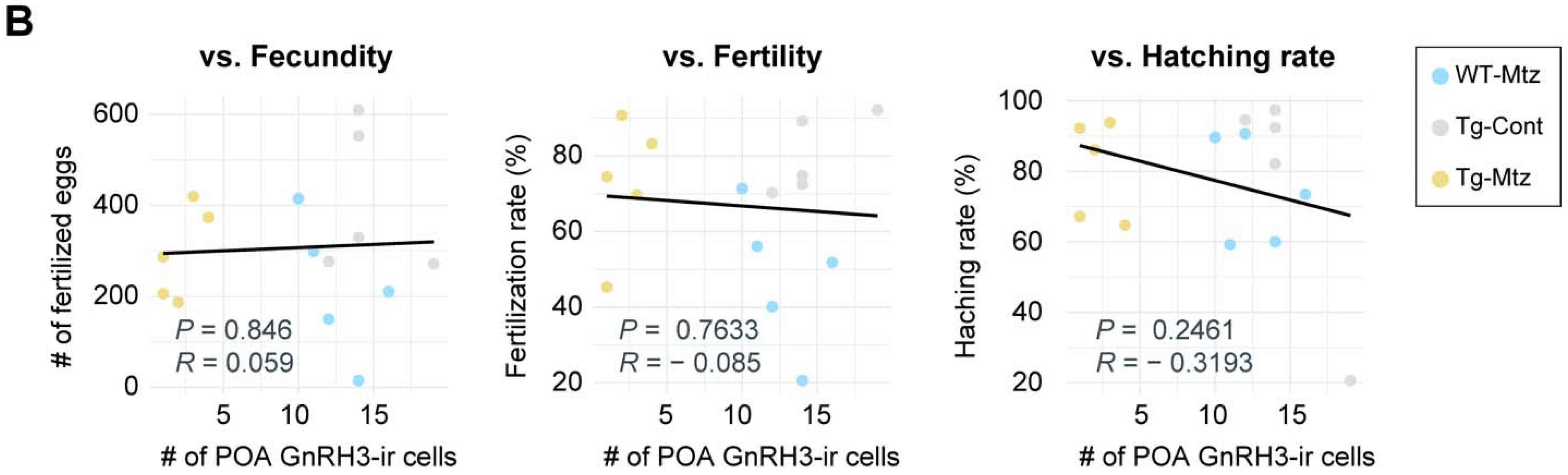 Ijms 23 05596 g004b Ijms 23 05596 g004b