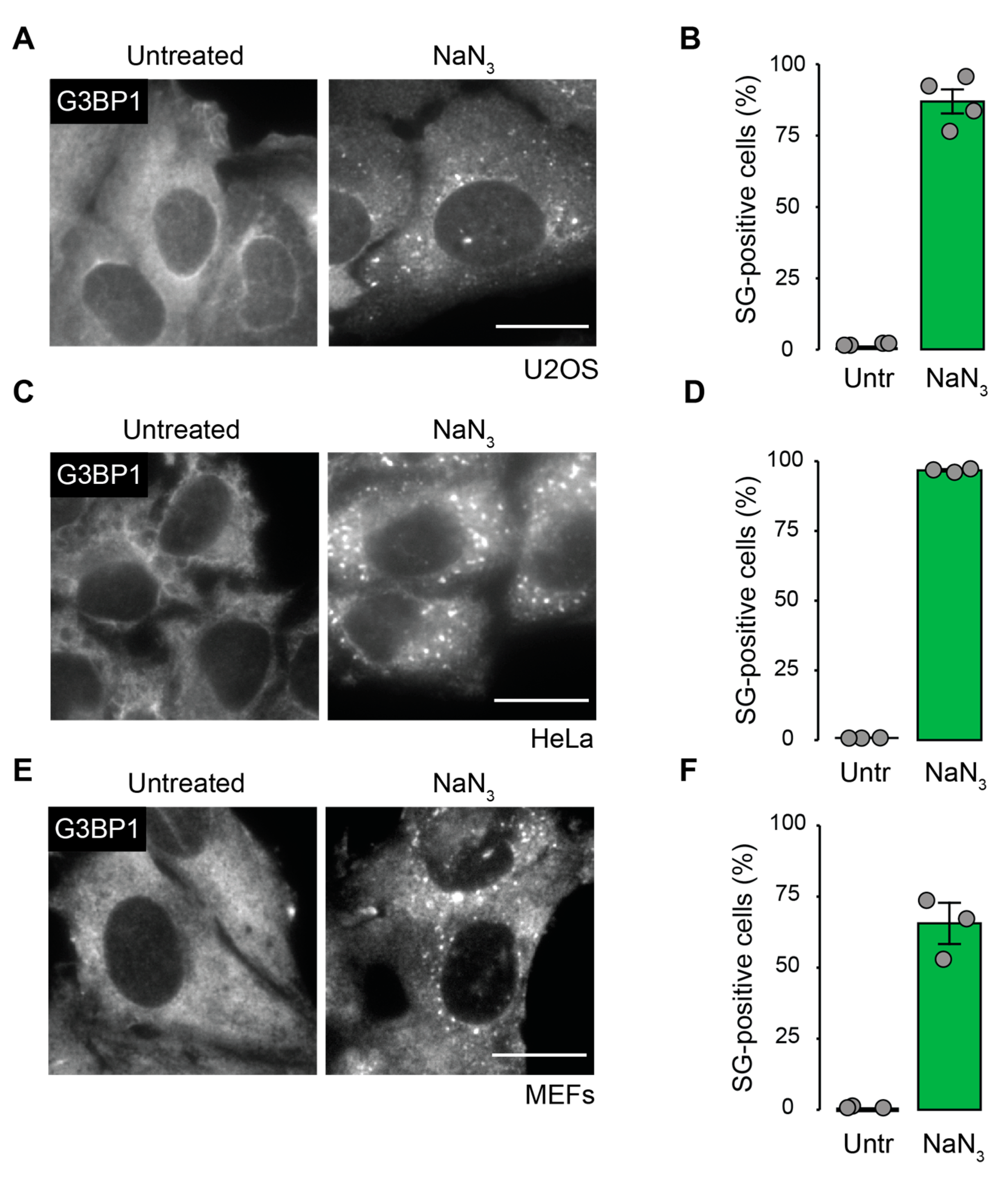Ijms 23 05600 g001 550