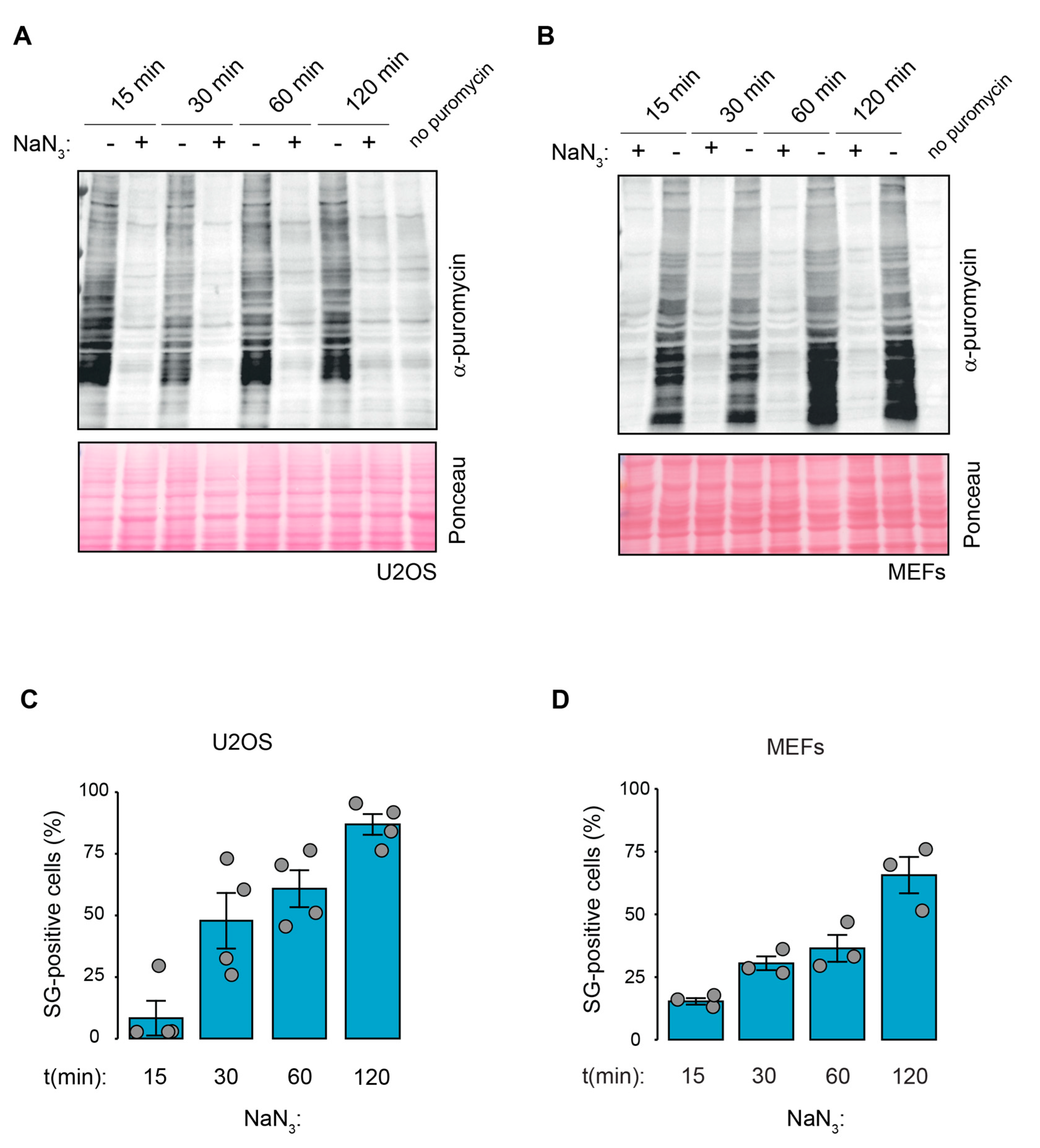 Ijms 23 05600 g003 550