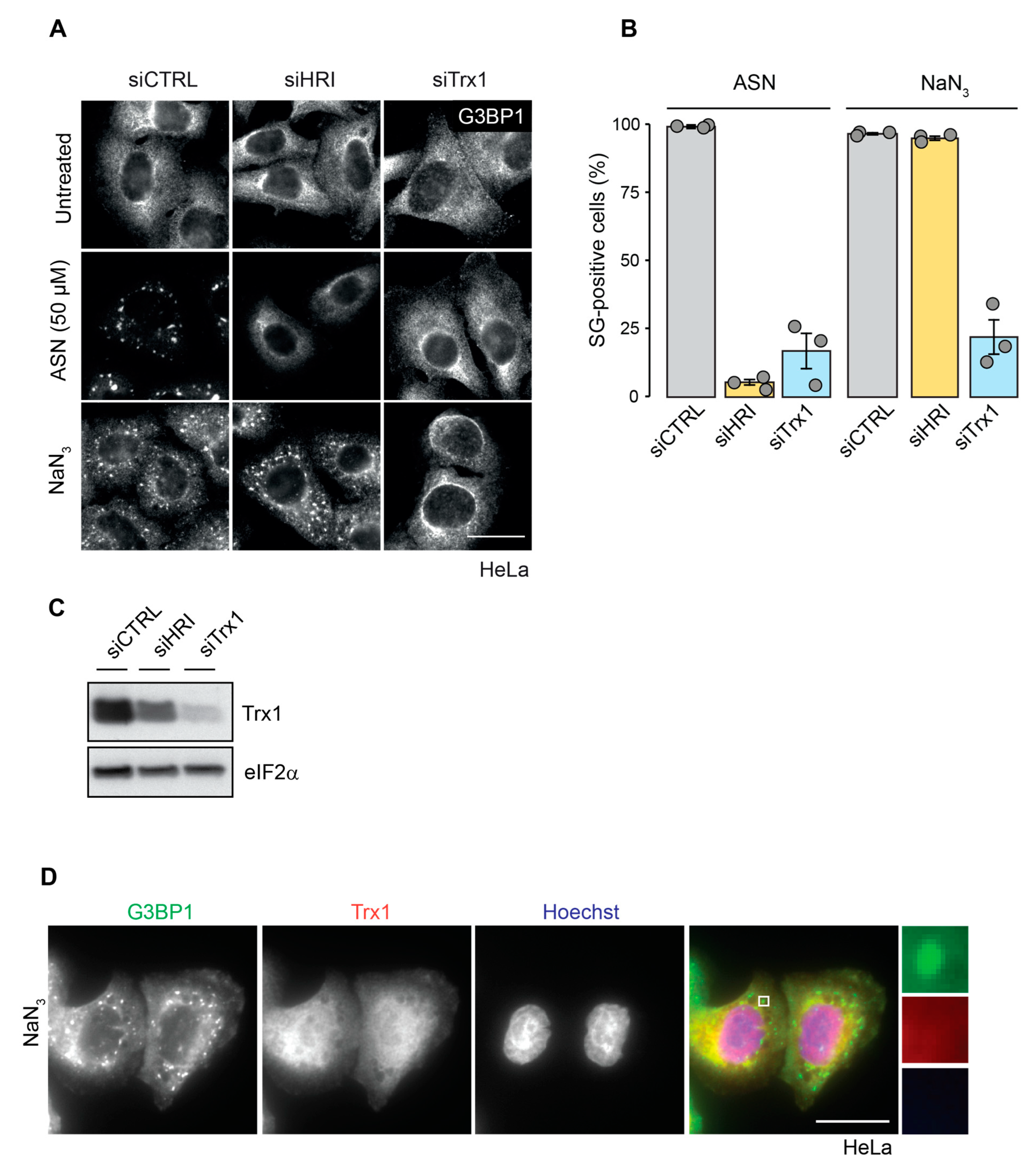 Ijms 23 05600 g006 550