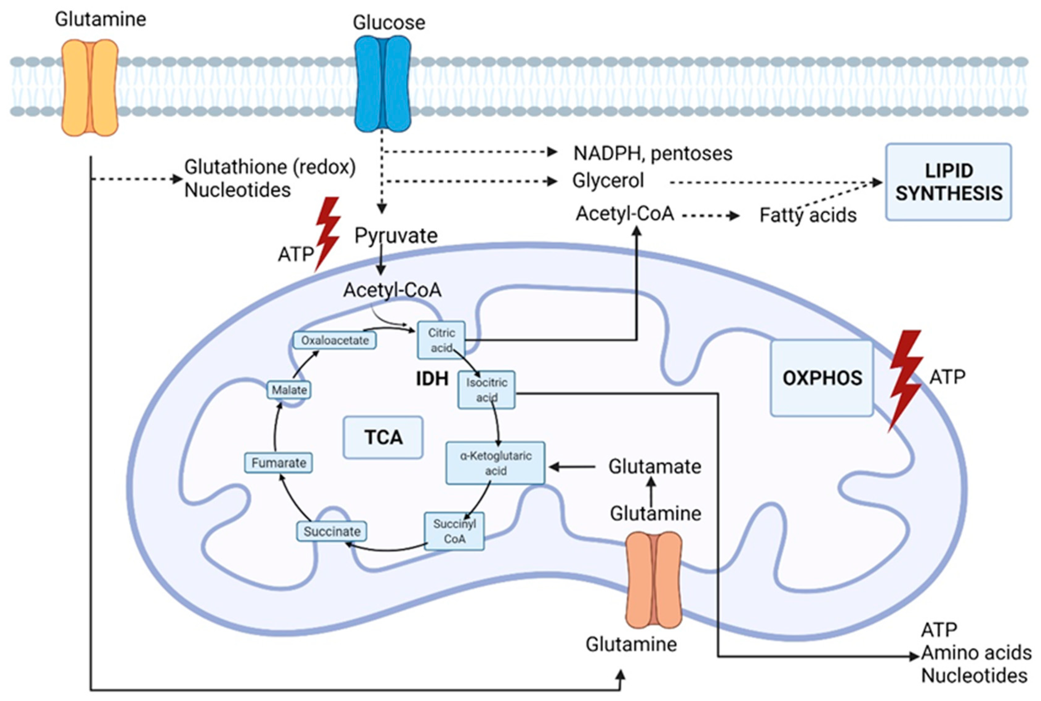 Ijms 23 05602 g002 550