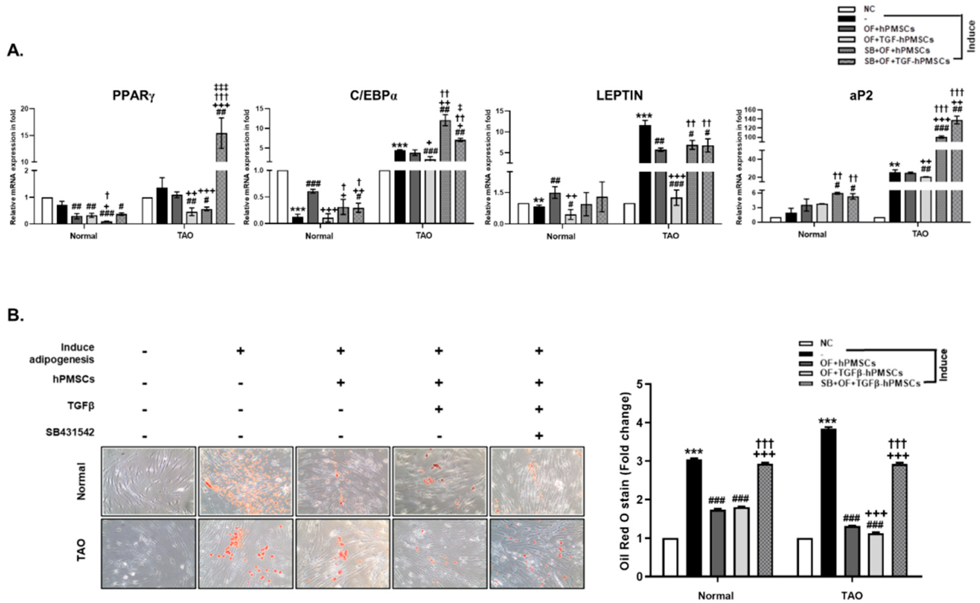 Ijms 23 05603 g002a 550