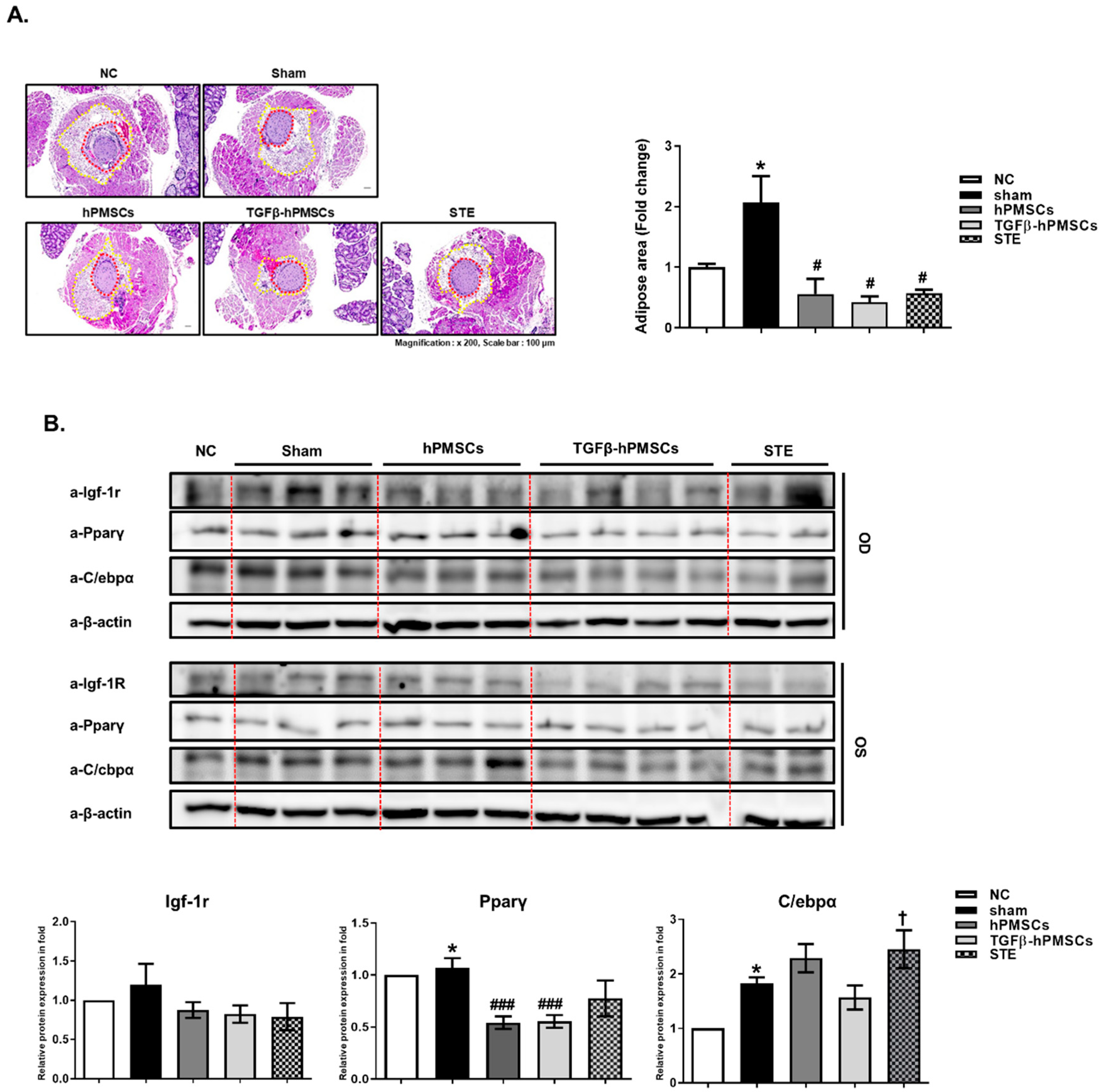 Ijms 23 05603 g003a 550
