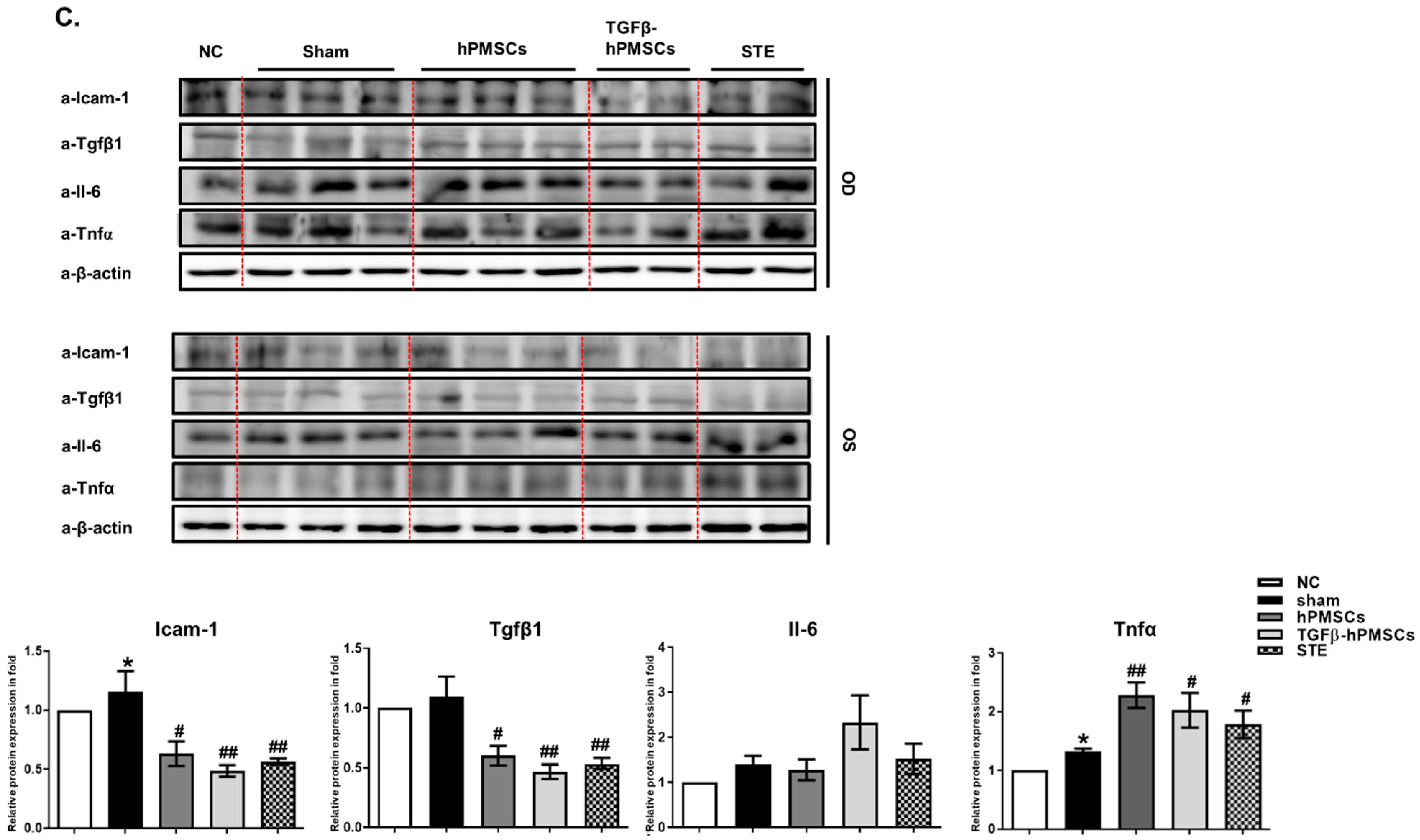 Ijms 23 05603 g003b 550