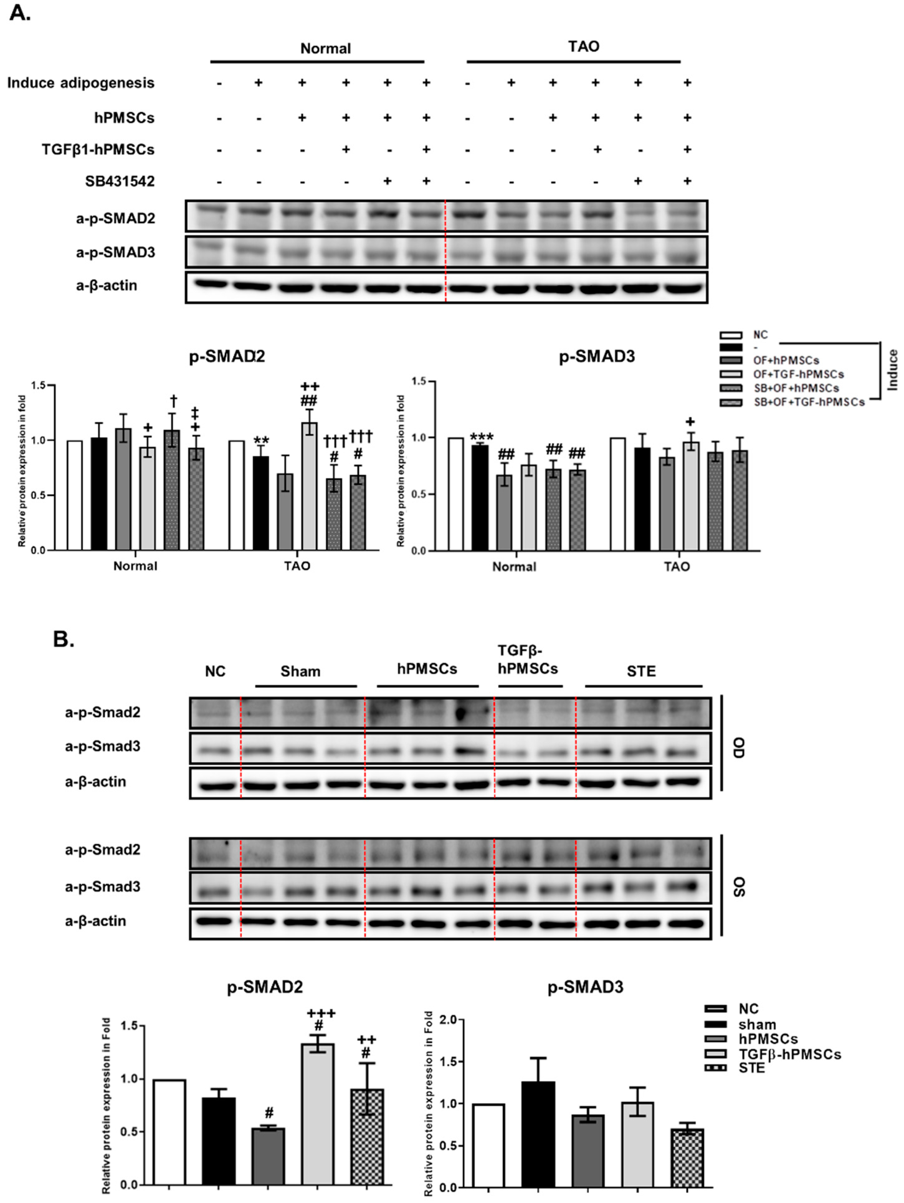 Ijms 23 05603 g004 550