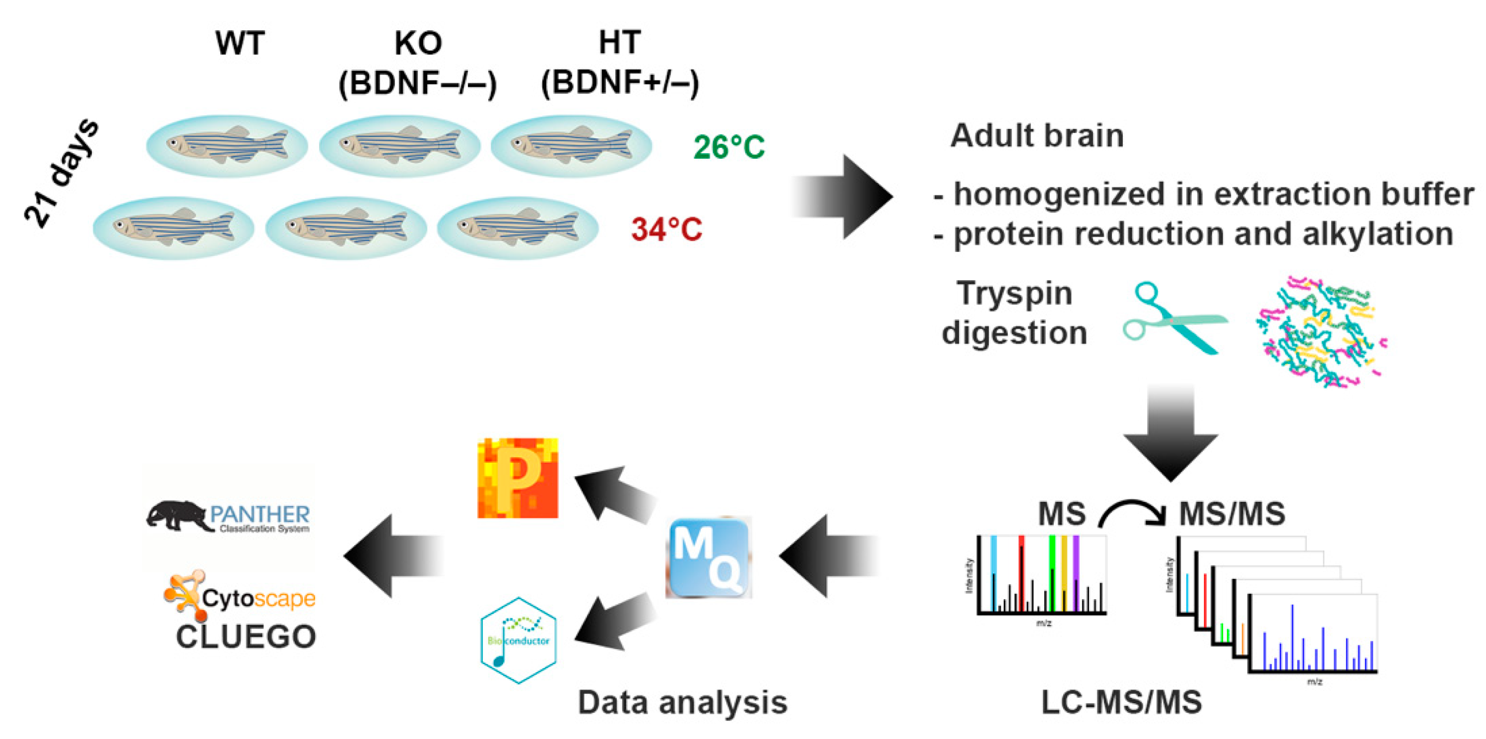 Ijms 23 05606 g002 Ijms 23 05606 g002