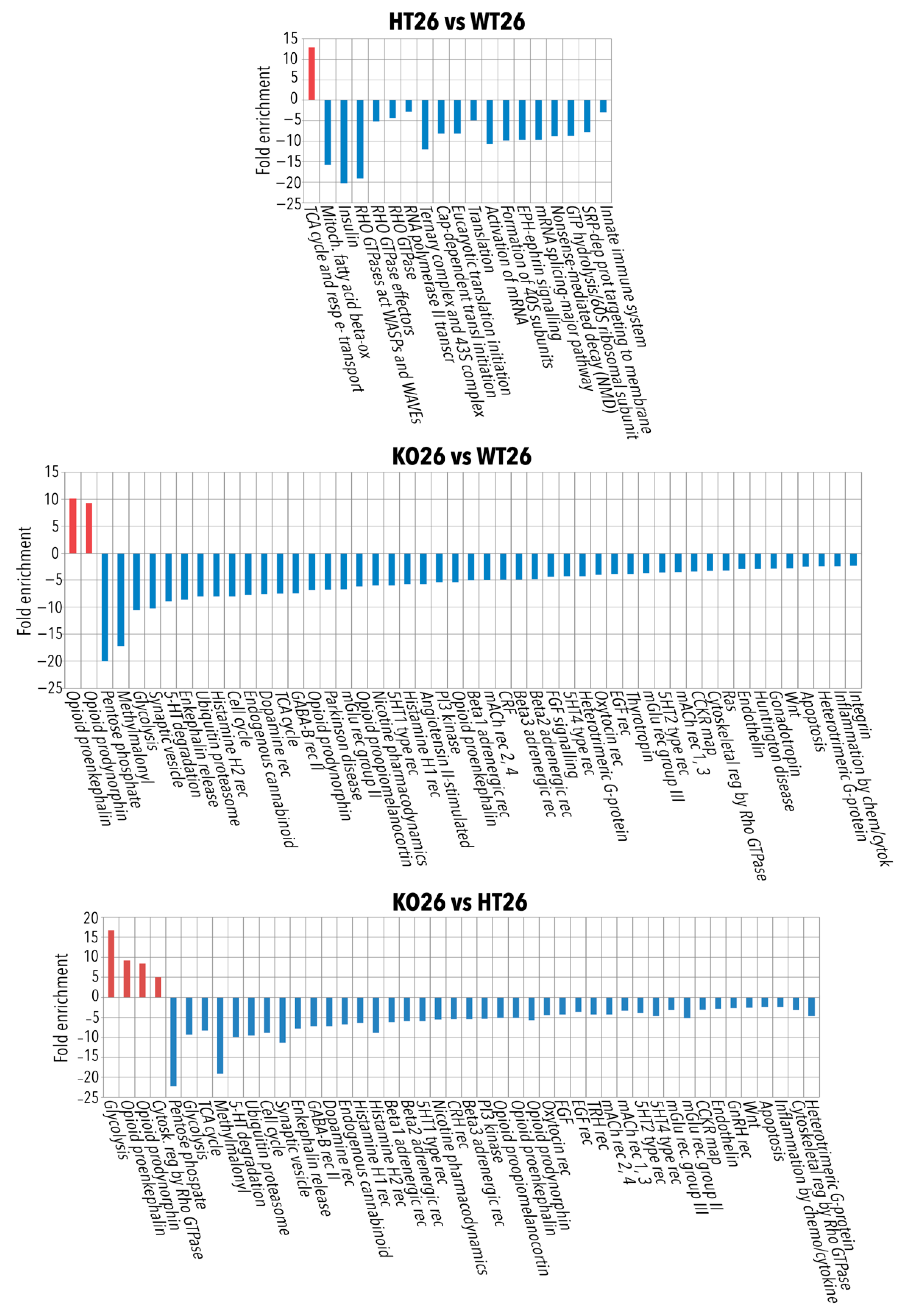 Ijms 23 05606 g005 Ijms 23 05606 g005