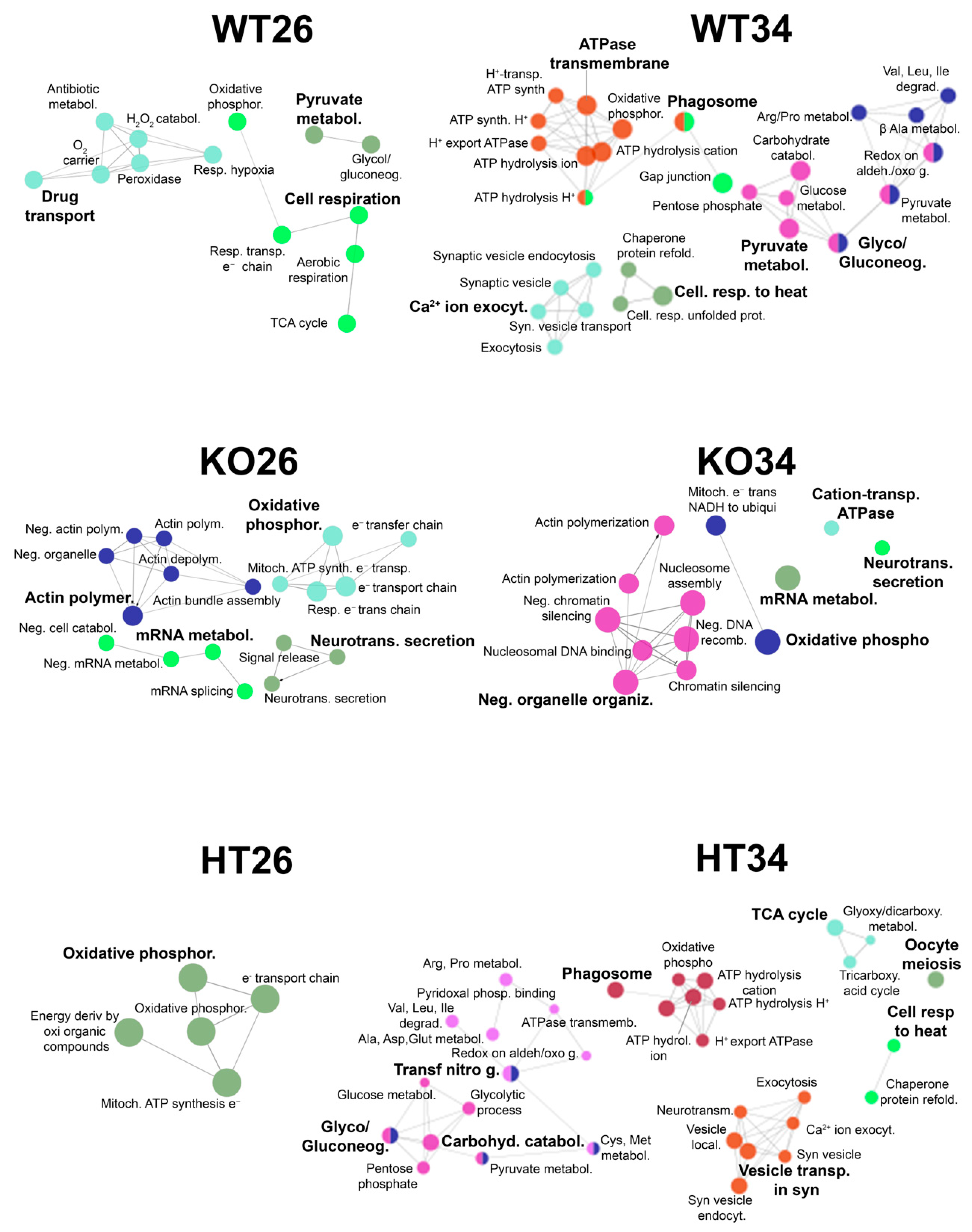 Ijms 23 05606 g007 Ijms 23 05606 g007