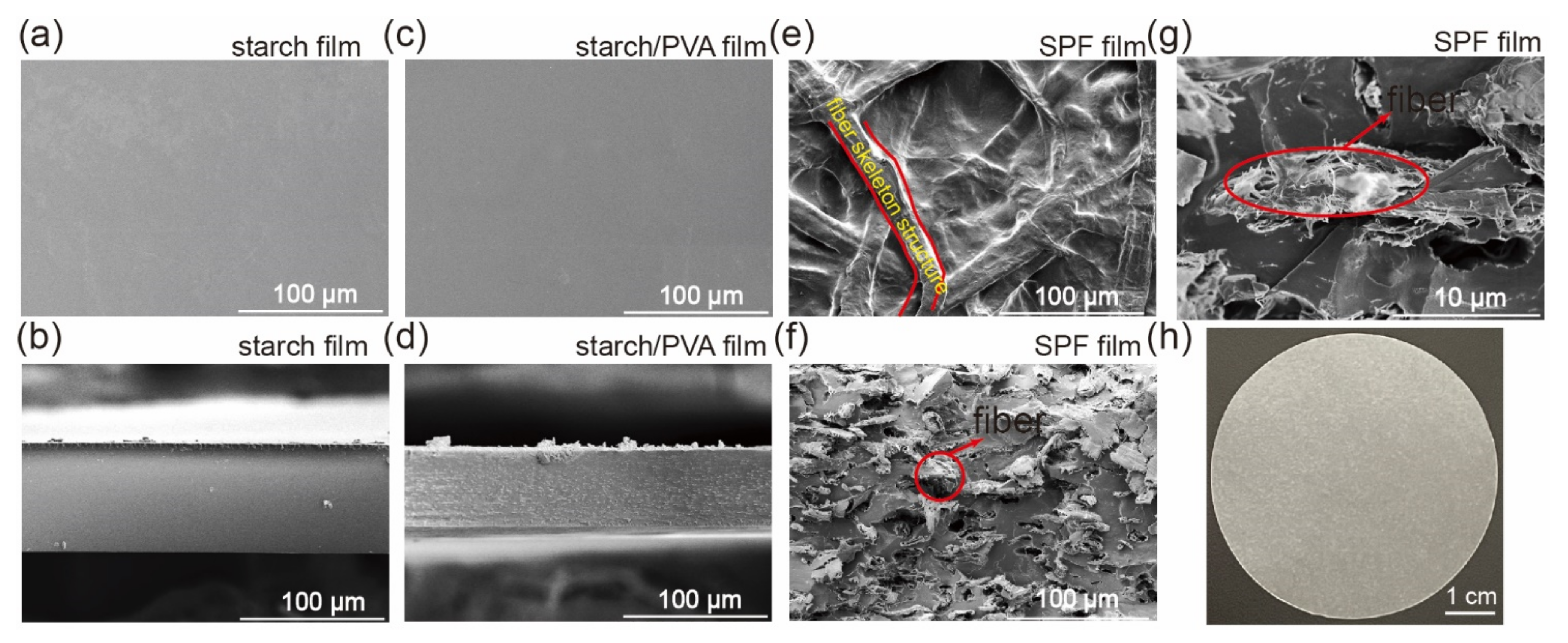 Ijms 23 05607 g002 550