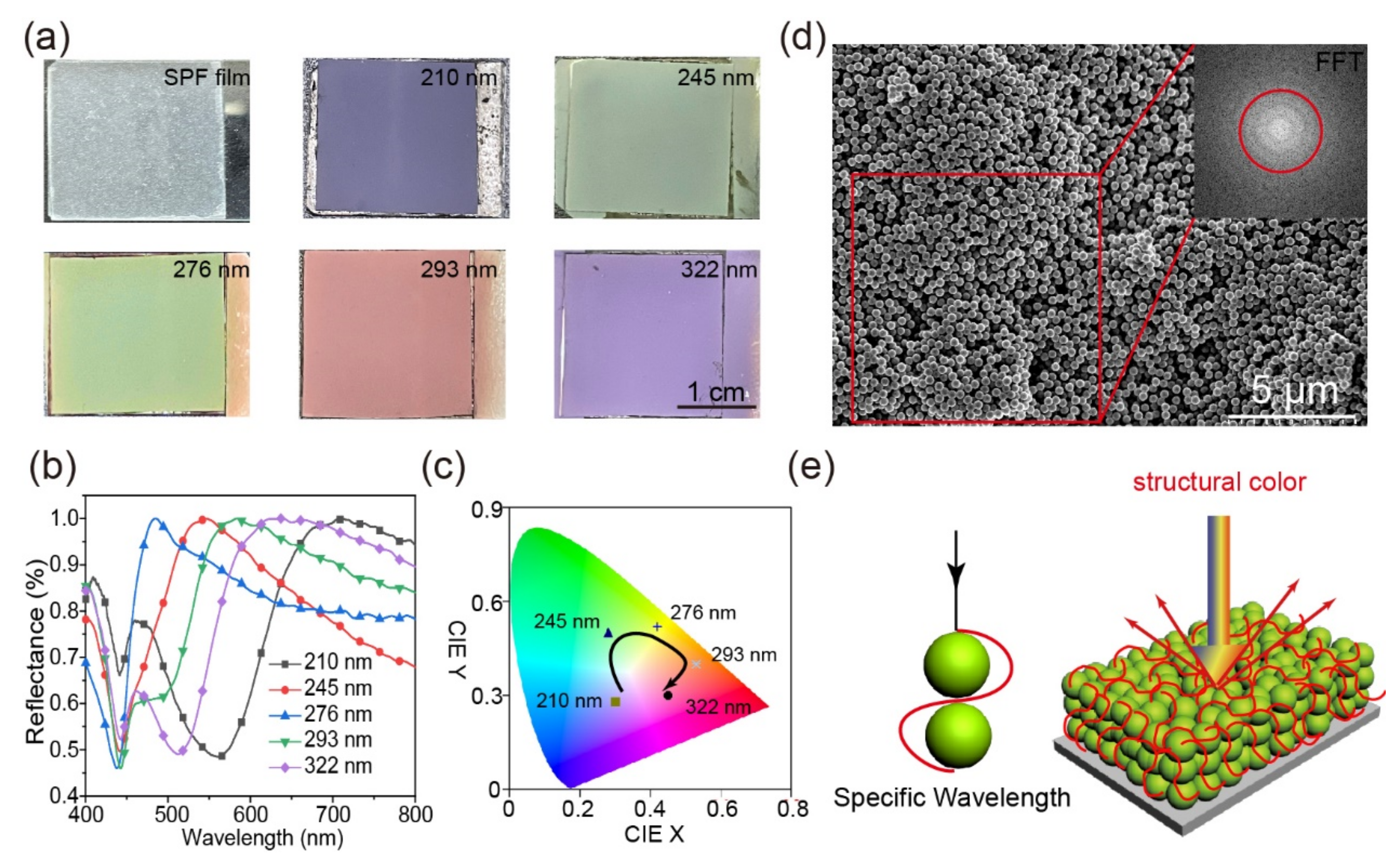 Ijms 23 05607 g006 550