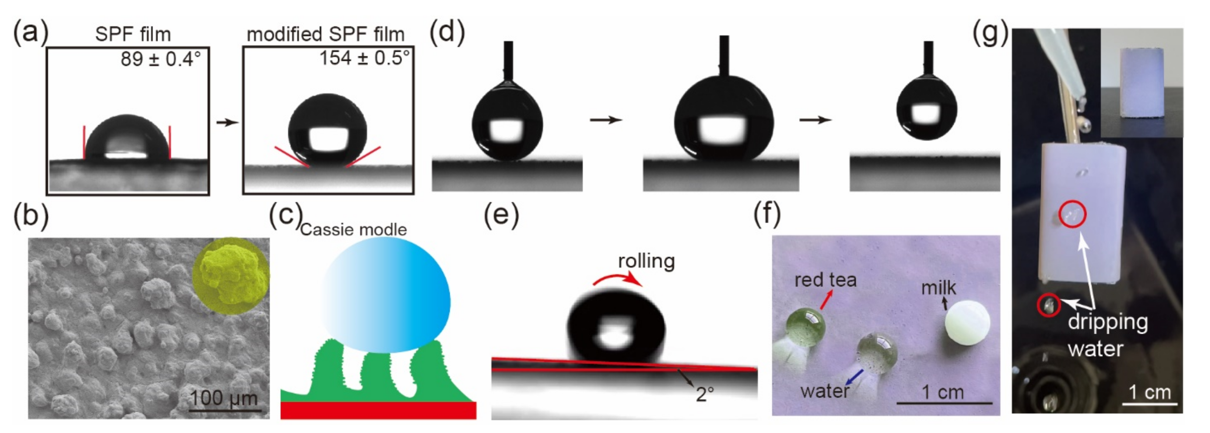 Ijms 23 05607 g007 550