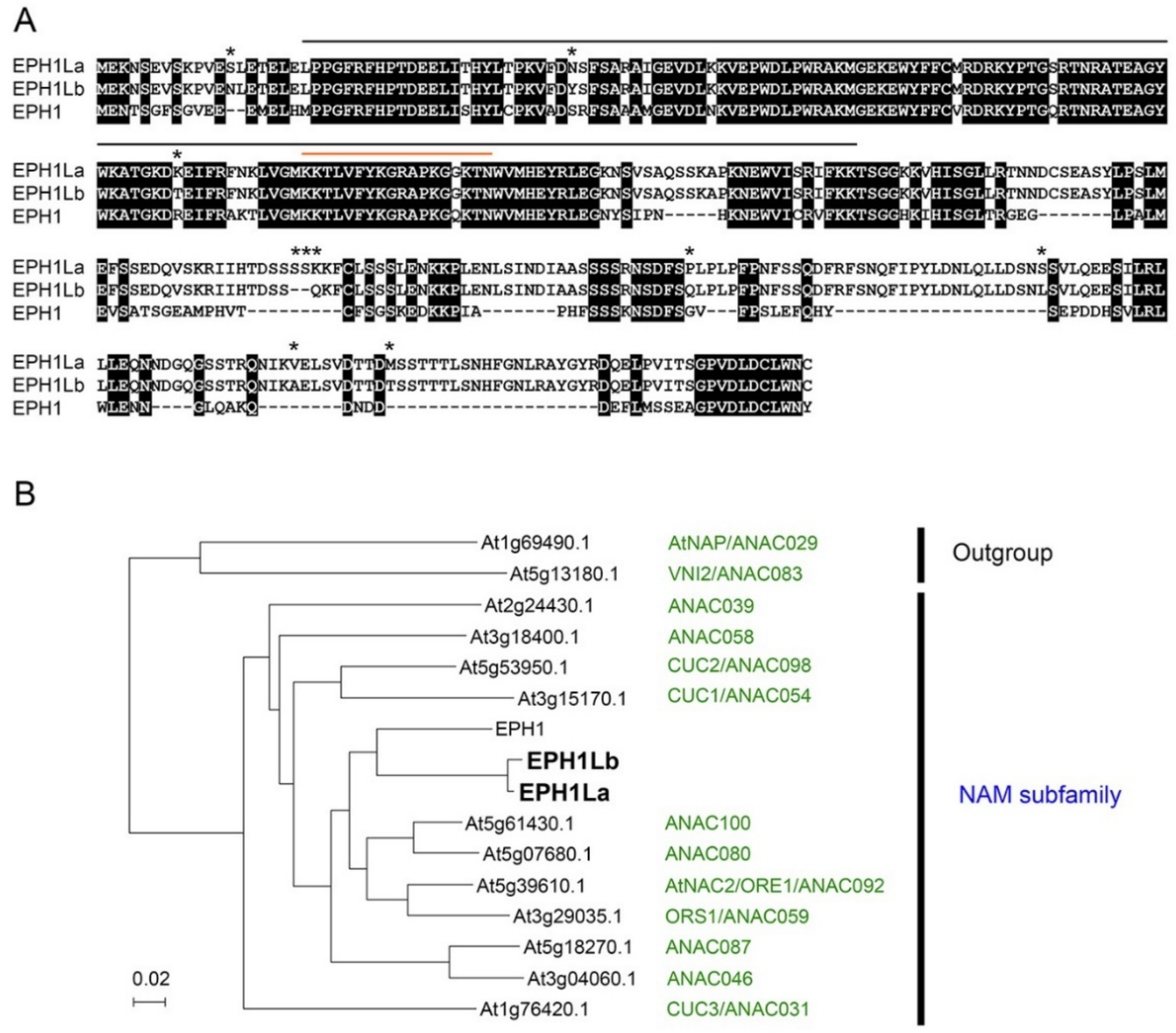 Ijms 23 05608 g001 Ijms 23 05608 g001