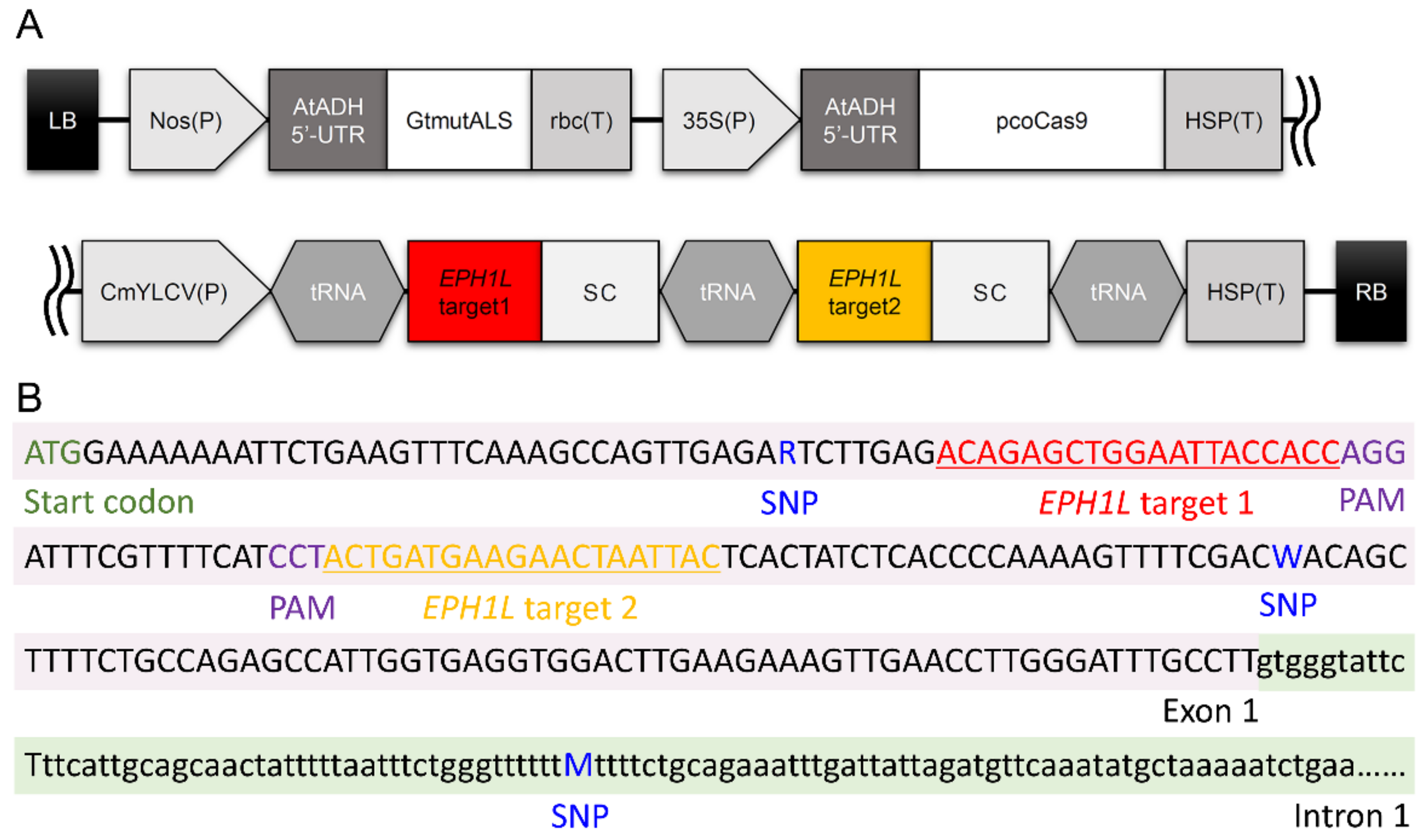 Ijms 23 05608 g004 Ijms 23 05608 g004
