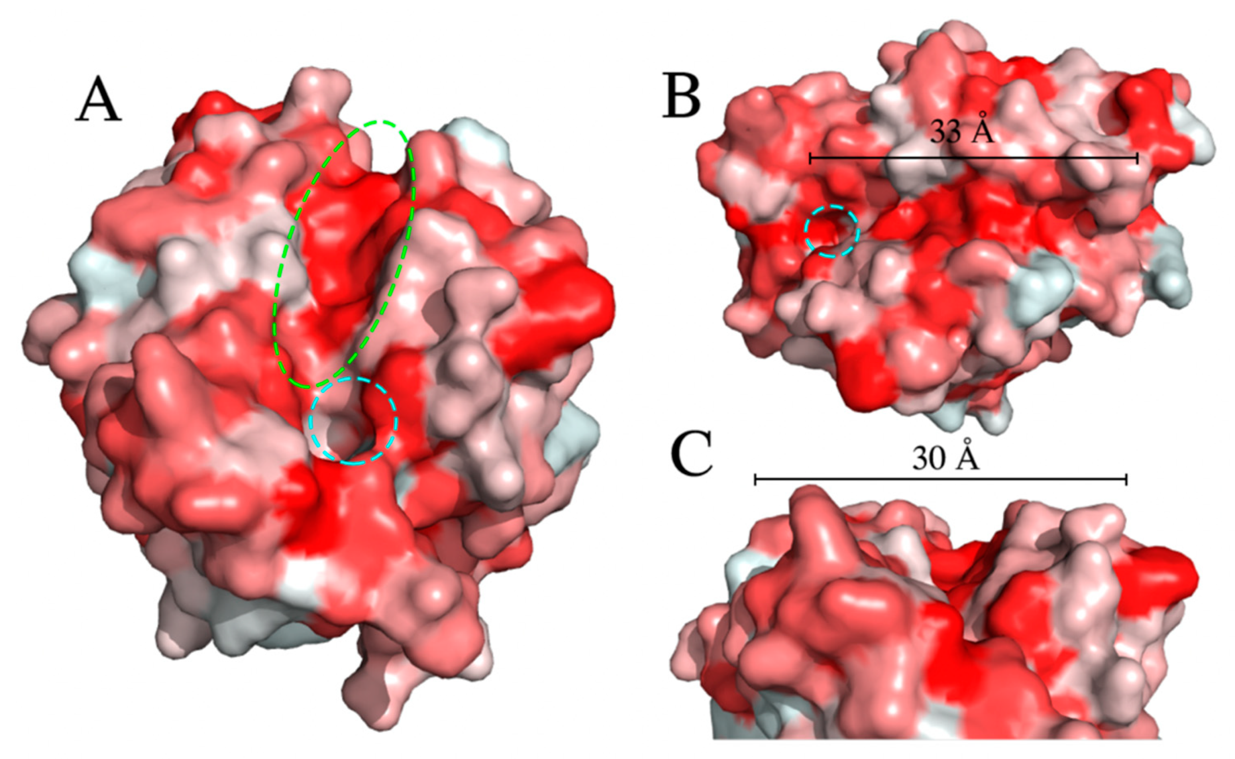 Ijms 23 05612 g004 Ijms 23 05612 g004