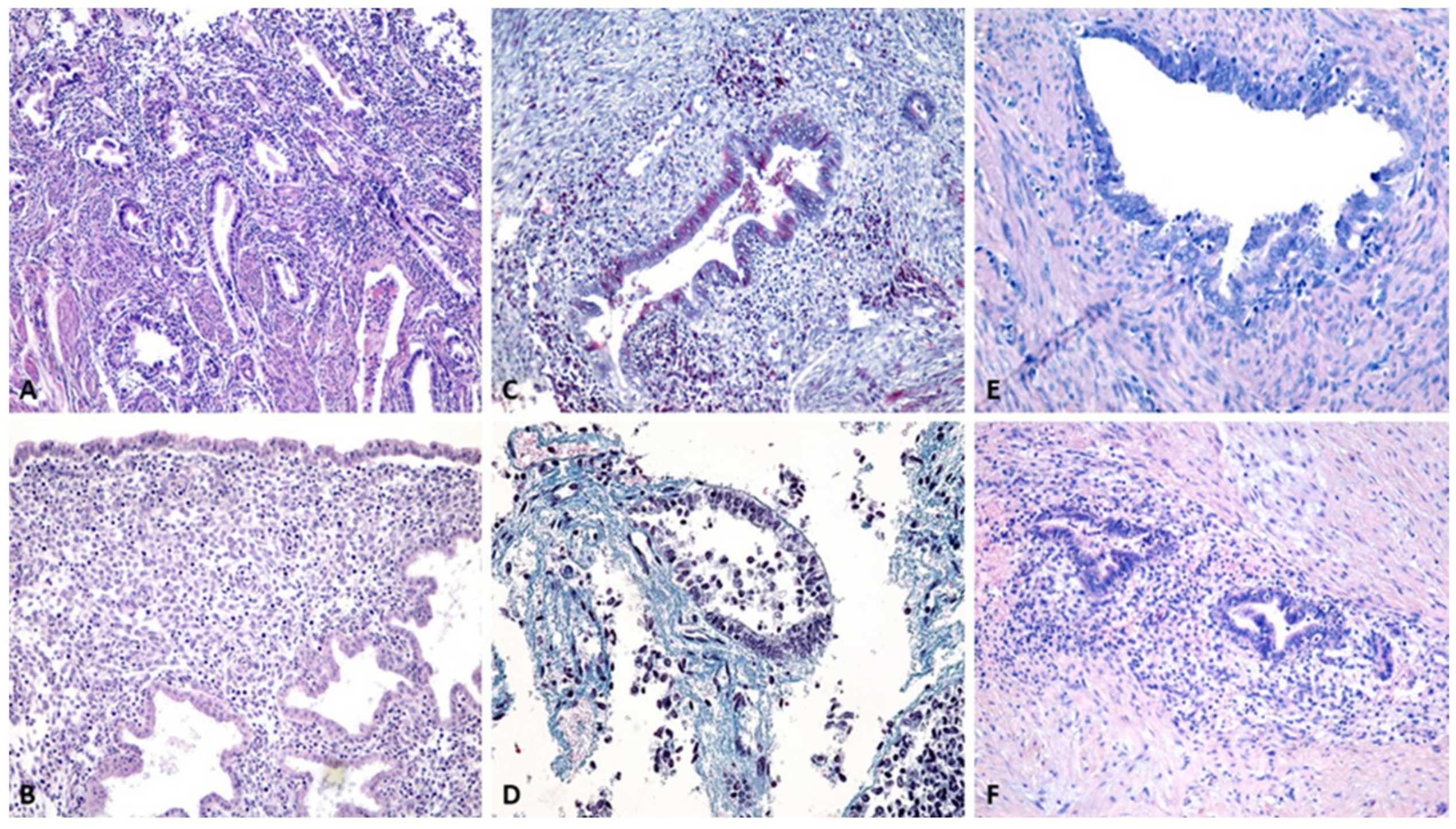 Ijms 23 05614 g002 550