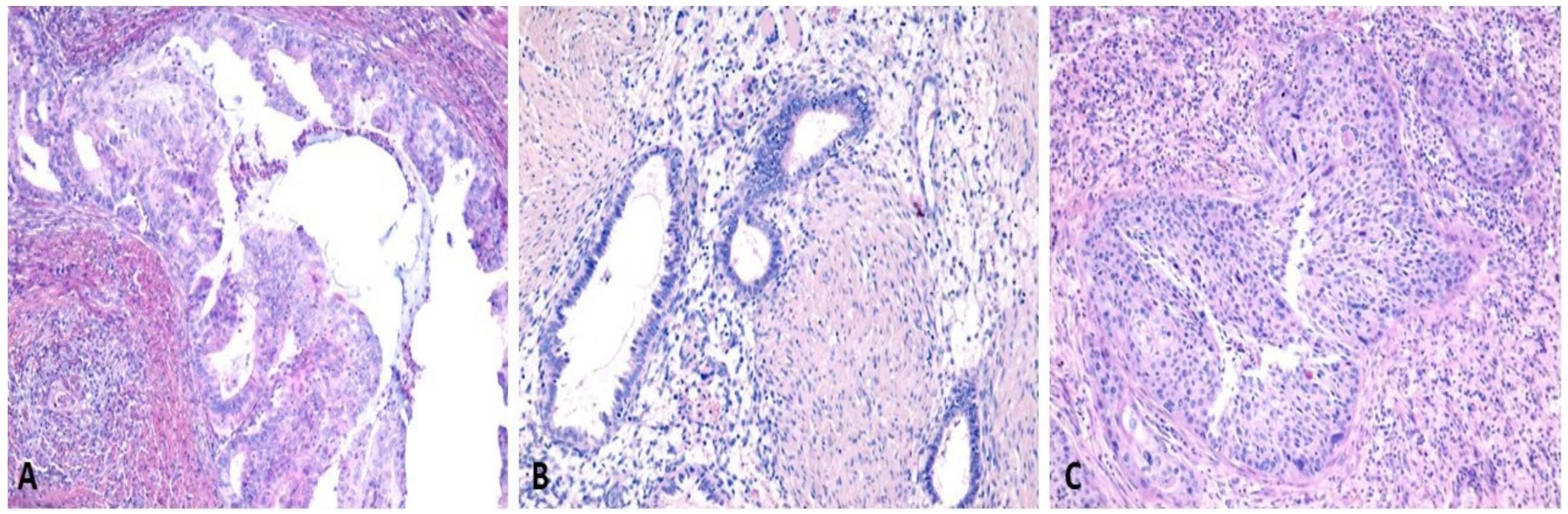 Ijms 23 05614 g003 550